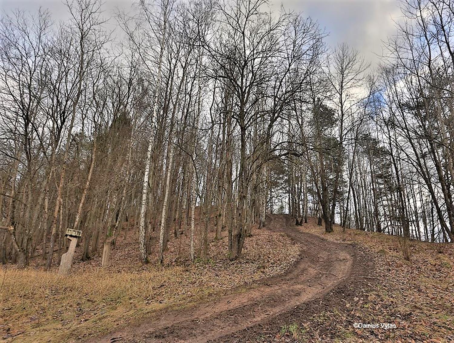 Keturračiai išvažinėjo piliakalnį / Dainiaus Vyto nuotr. Išvažinėtas Sukinių piliakalnis.