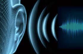 Koncerto po daugiabučio langais nenori /