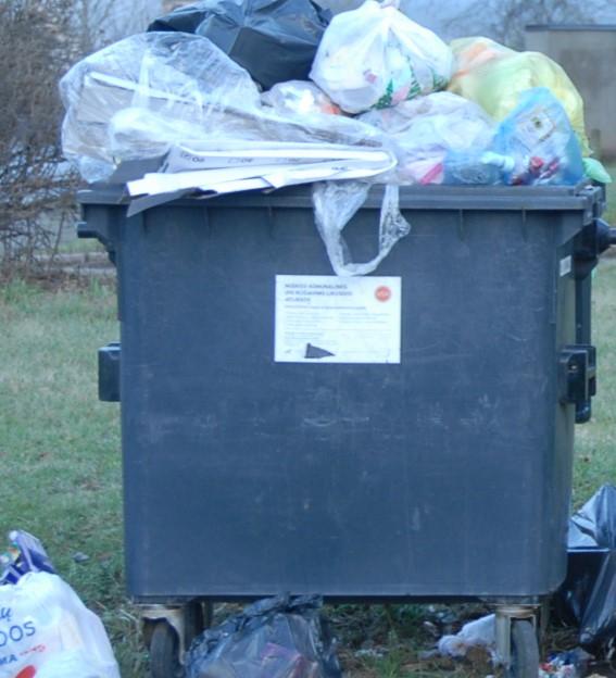 Konteinerį išvežė tik kartą per metus /