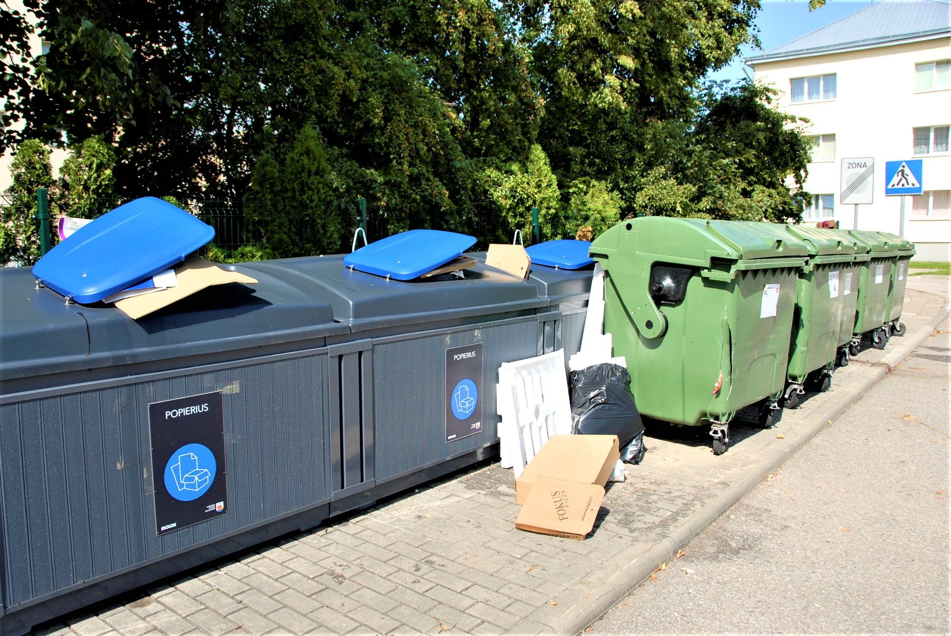 Konteinerių priešėmis tapo žiurkės /