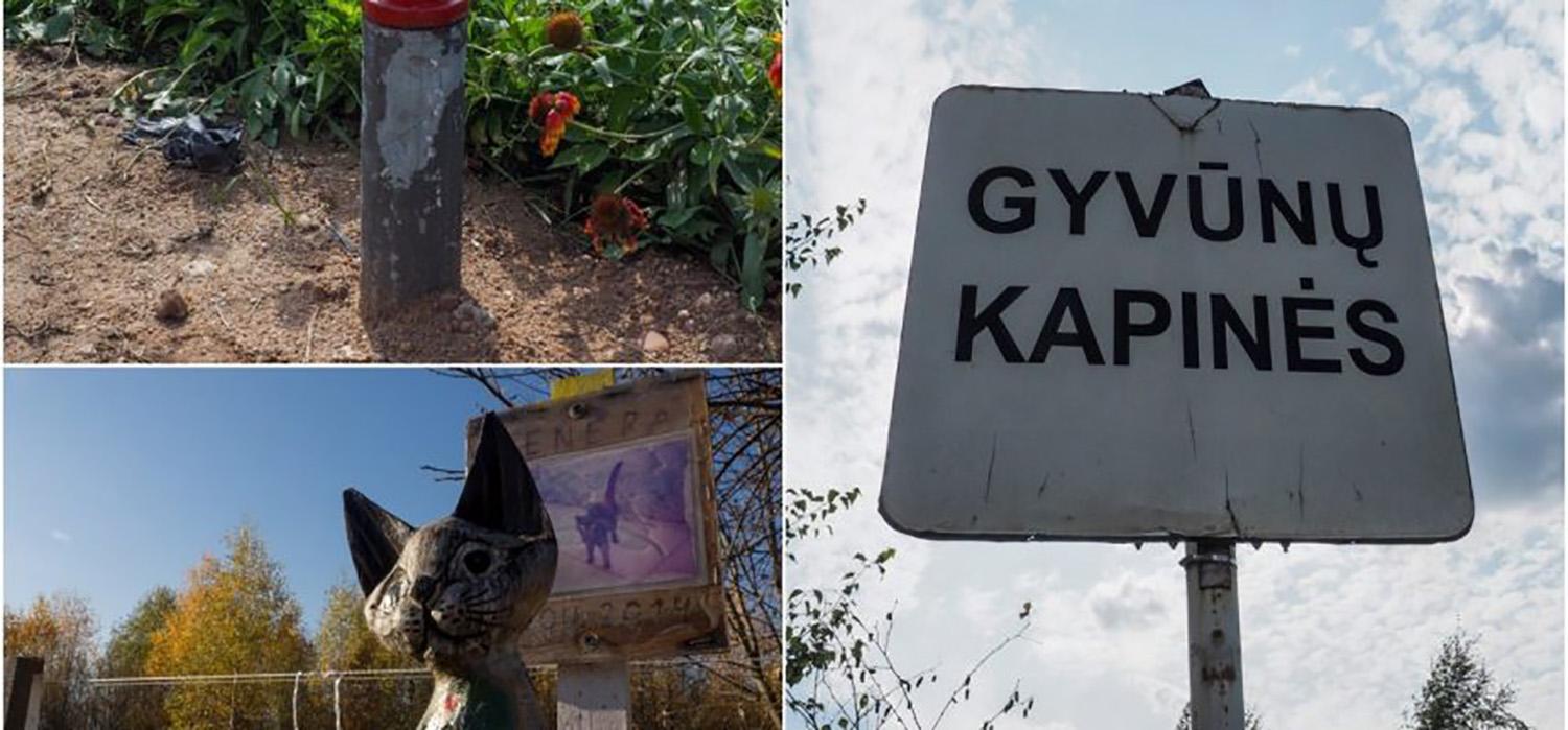 Kur laidoti nugaišusį augintinį? / Tokio užrašo Ukmergėje kol kas nėra.