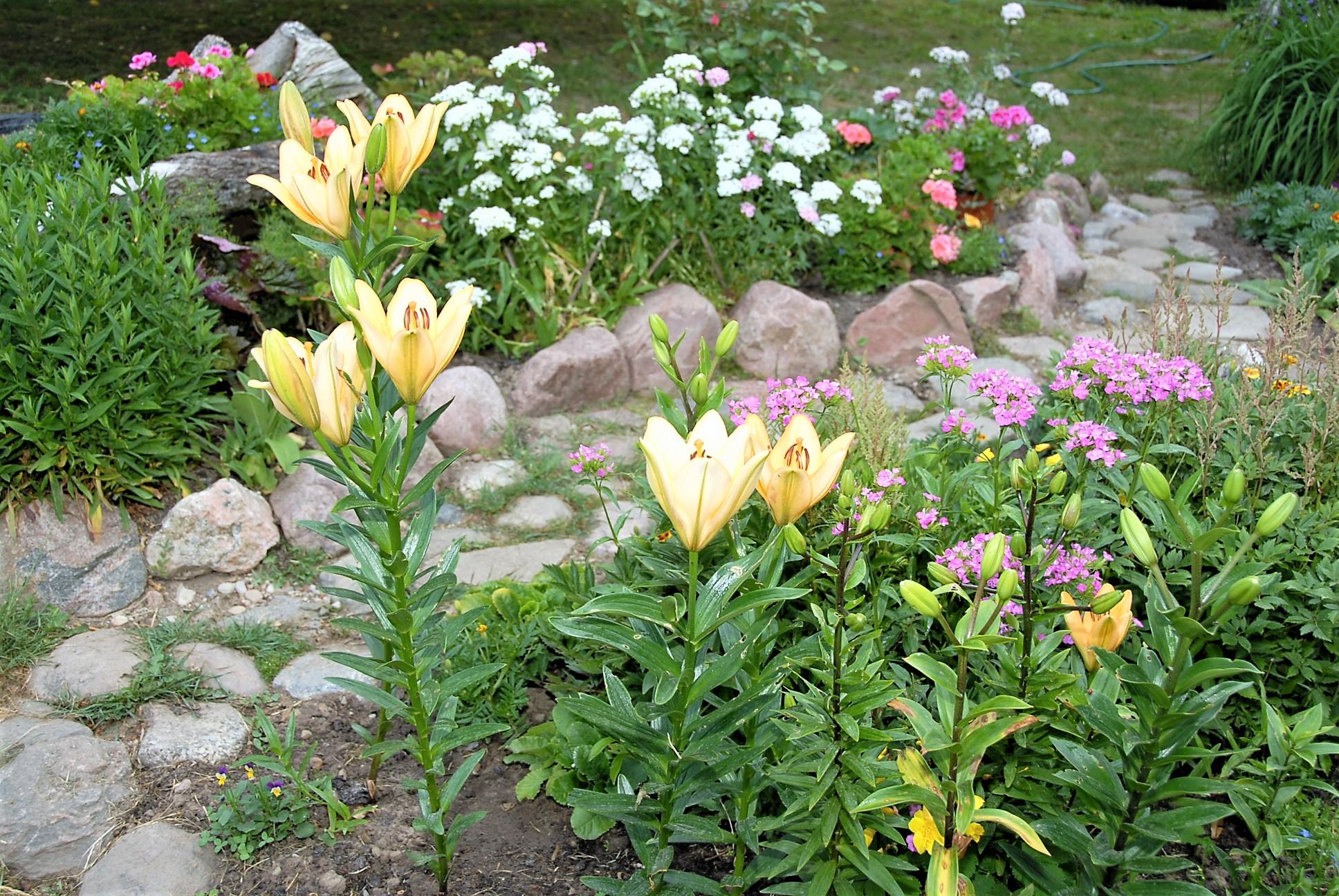 Kviečia į susirinkimą /