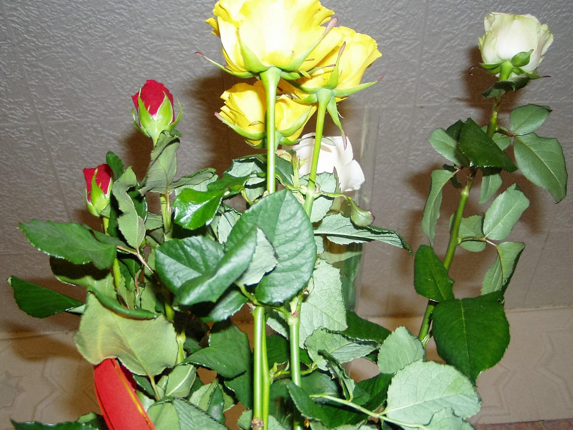 Kviečia padėkoti socialiniam darbuotojui /