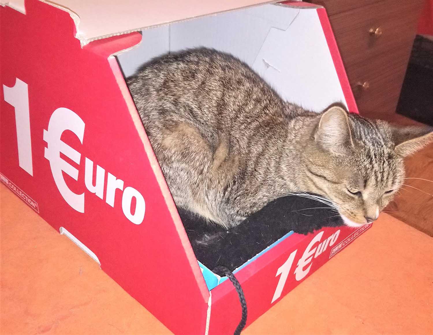 Laikinai atsisakiusiųjų šildymo padaugėjo / Šildymas gali ir nieko nekainuoti.