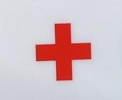 Leistas ligonių lankymas kelia nerimą /