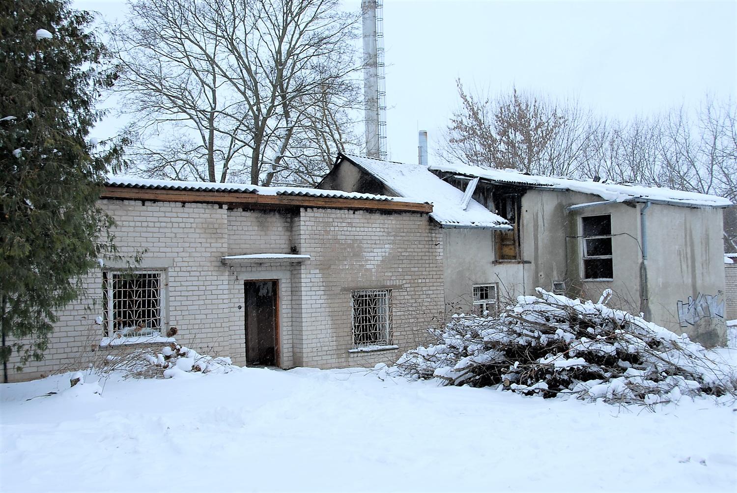 Liepsnos pasiglemžė gyvybę /