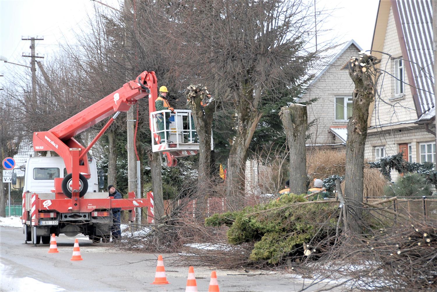 Liepų neliko nė pėdsako / Pirmadienį liepos dar buvo genimos