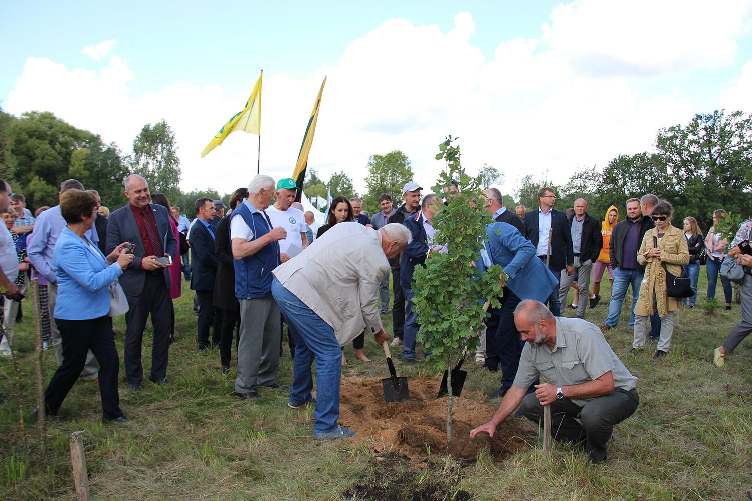 Lyduokiuose – miškų inovacijų ir tradicijų paroda / Daivos Zimblienės nuotr. Šventės dalyviai ir lankytojai kartu pasodino ąžuoliuką.
