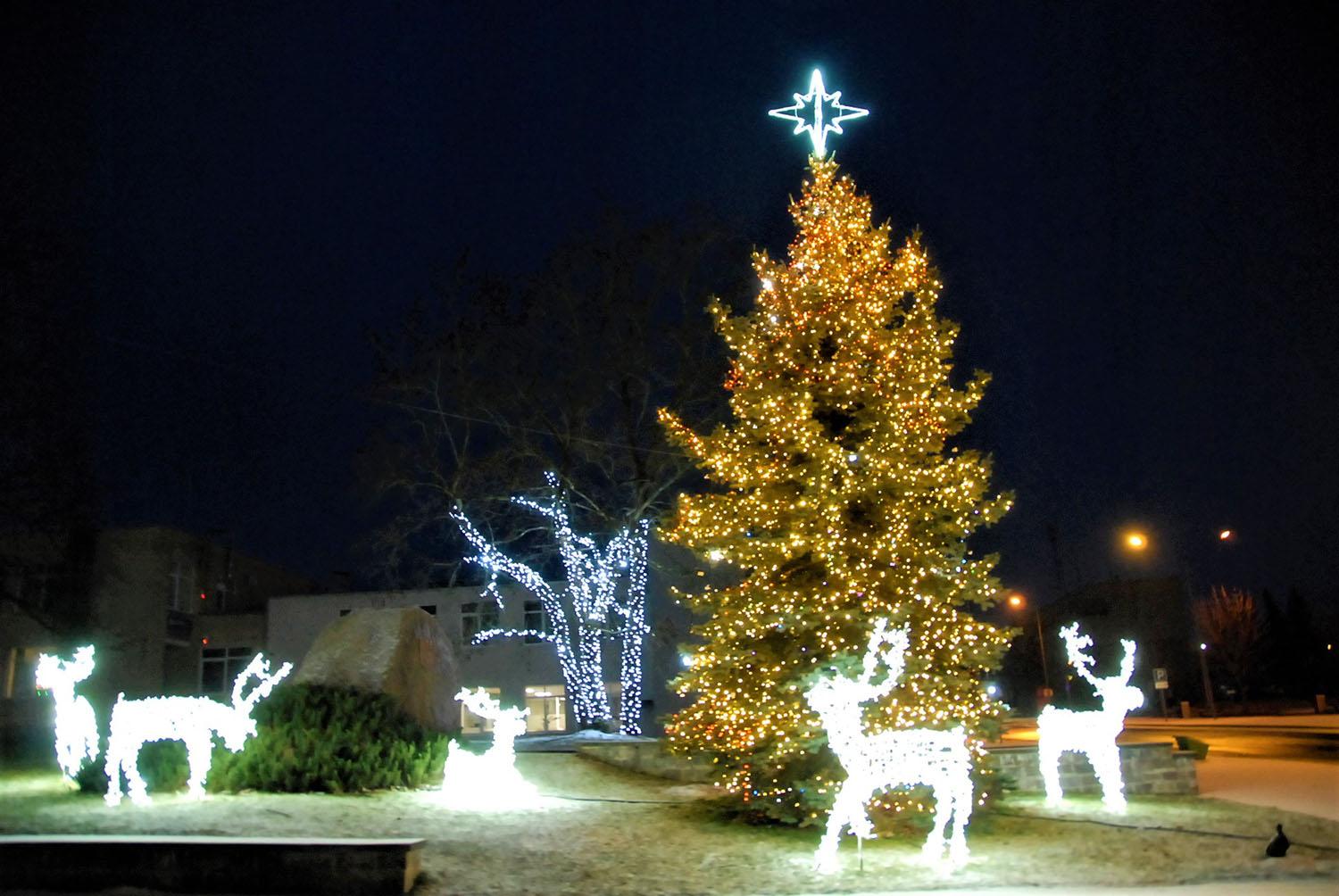 Magiškas miškas mieste laukia švenčių / Pagrindinė miesto eglė.  Gedimino Nemunaičio nuotr.