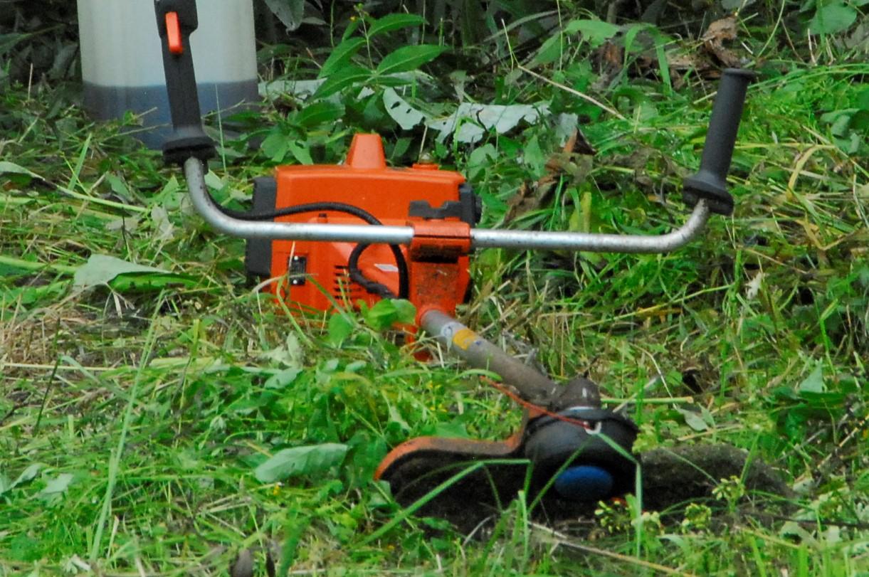 Mašiną apgadino žolės pjovėjai /