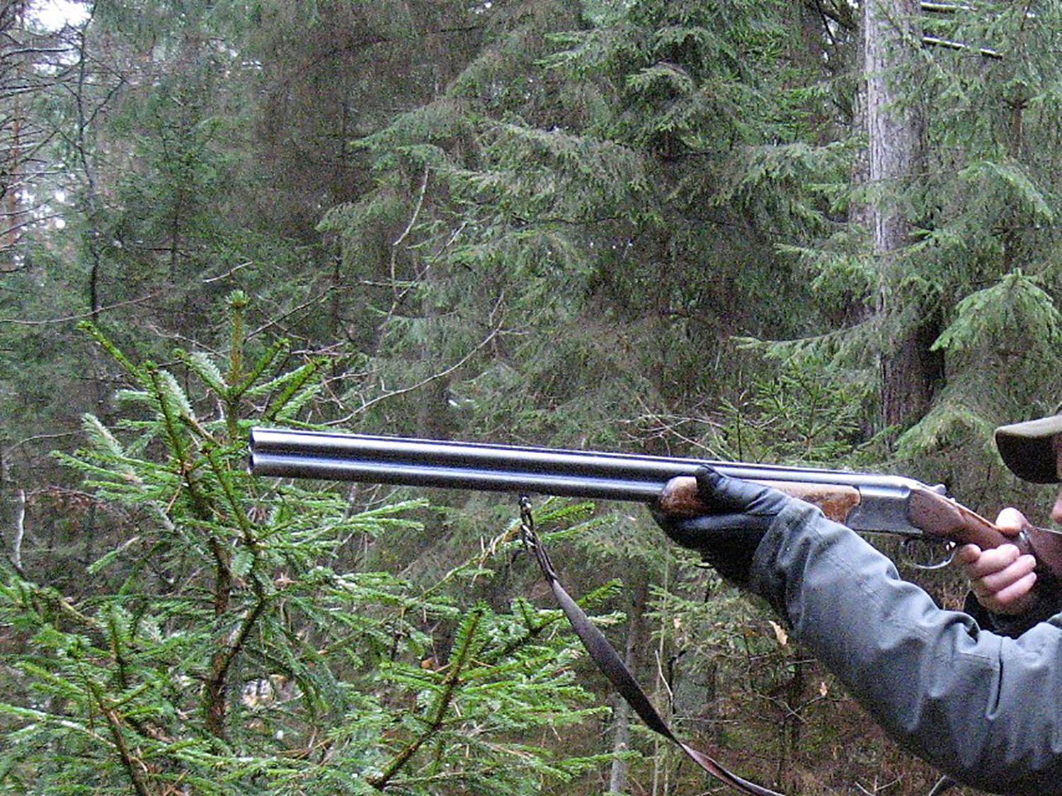 Medžioklę prie kapinių surengė per Vėlines / Deltuvoje per Vėlines poškėjo šūviai.