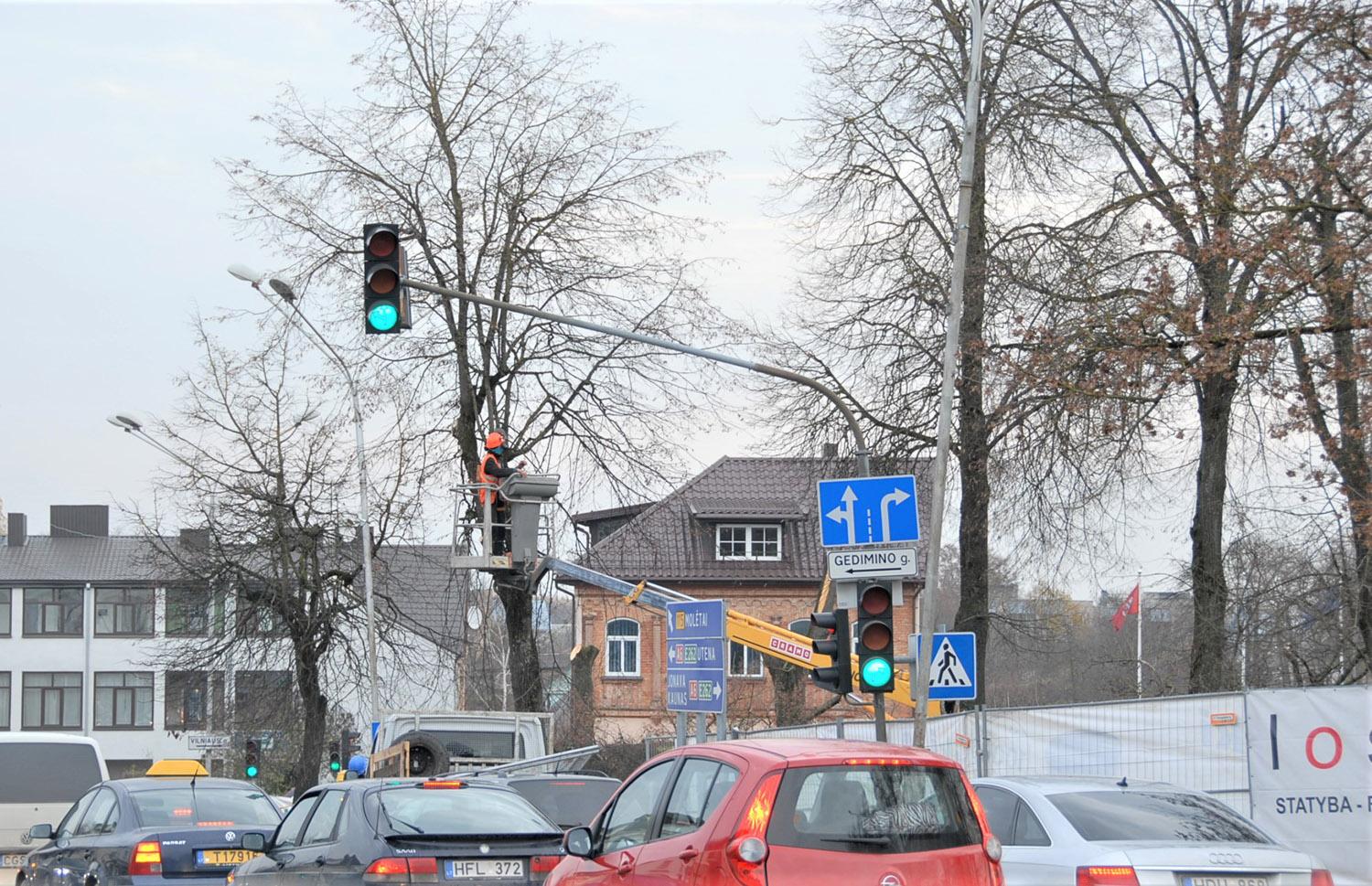 Medžių miesto centre liks / Miestas neliks be medžių. Gedimino Nemunaičio nuotr.