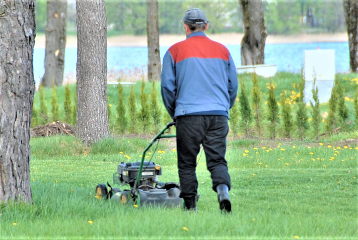 Mieste ir miesteliuose „dūzgia“ žolės pjovėjai / Šienaujamos viešosios teritorijos mieste užima apie 40 ha. Gedimino Nemunaičio nuotr.