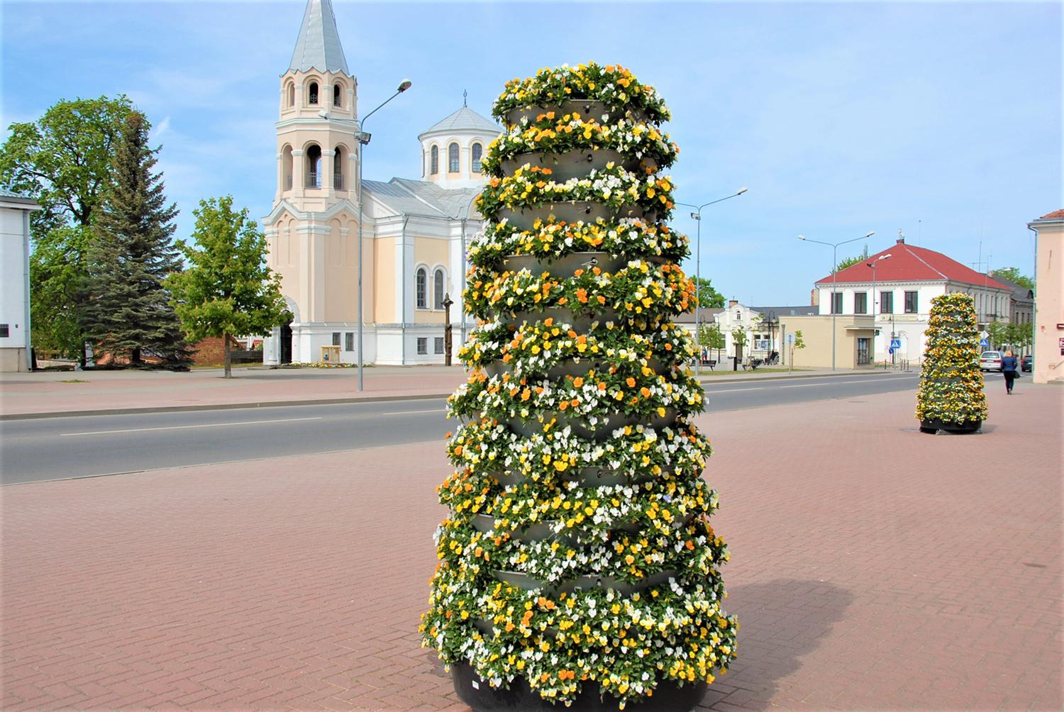 Mieste ketinama įrengti ir naujų želdynų / Kultūros centro aikštė „pasipuošė“. Gedimino Nemunaičio nuotr.