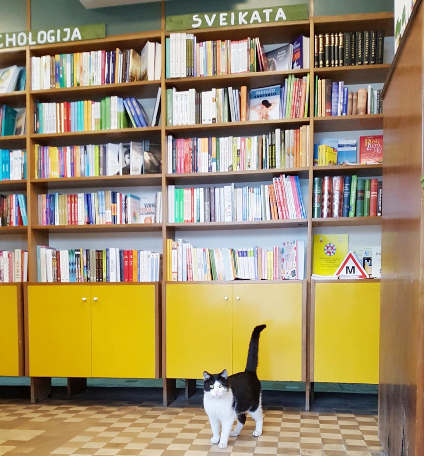 Miesto centre nebeliks senojo knygyno / Knygynas tapo ne tik knygų