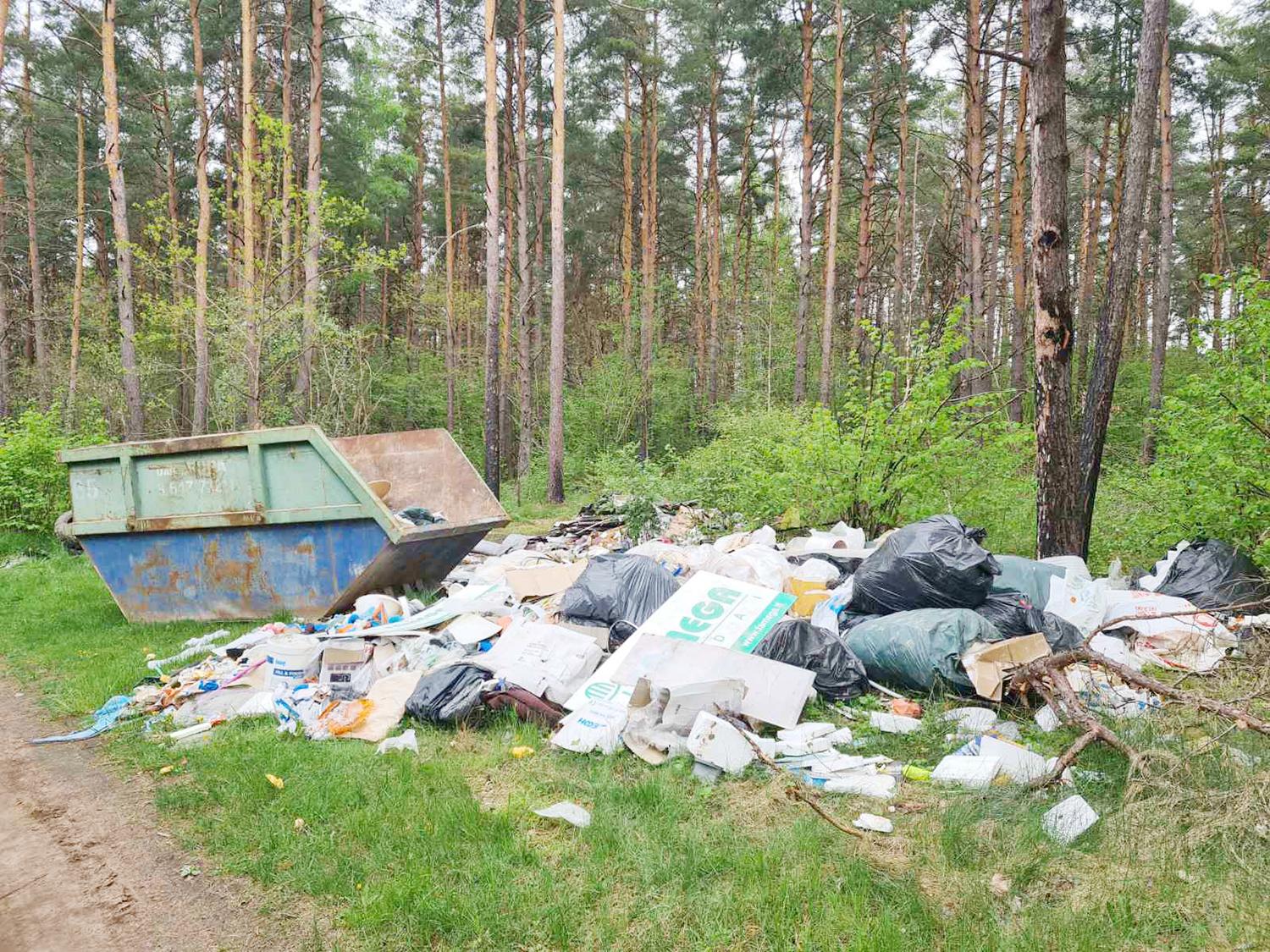 Mišką tvarkė ir ministras / Miške – šiukšlių krūva.