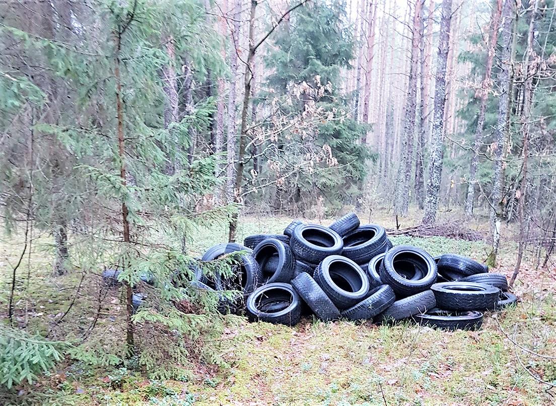 Miškininkai kviečia į miškų tvarkymo talką / Miškininkai ypač pajunta padangų keitimo sezoną.