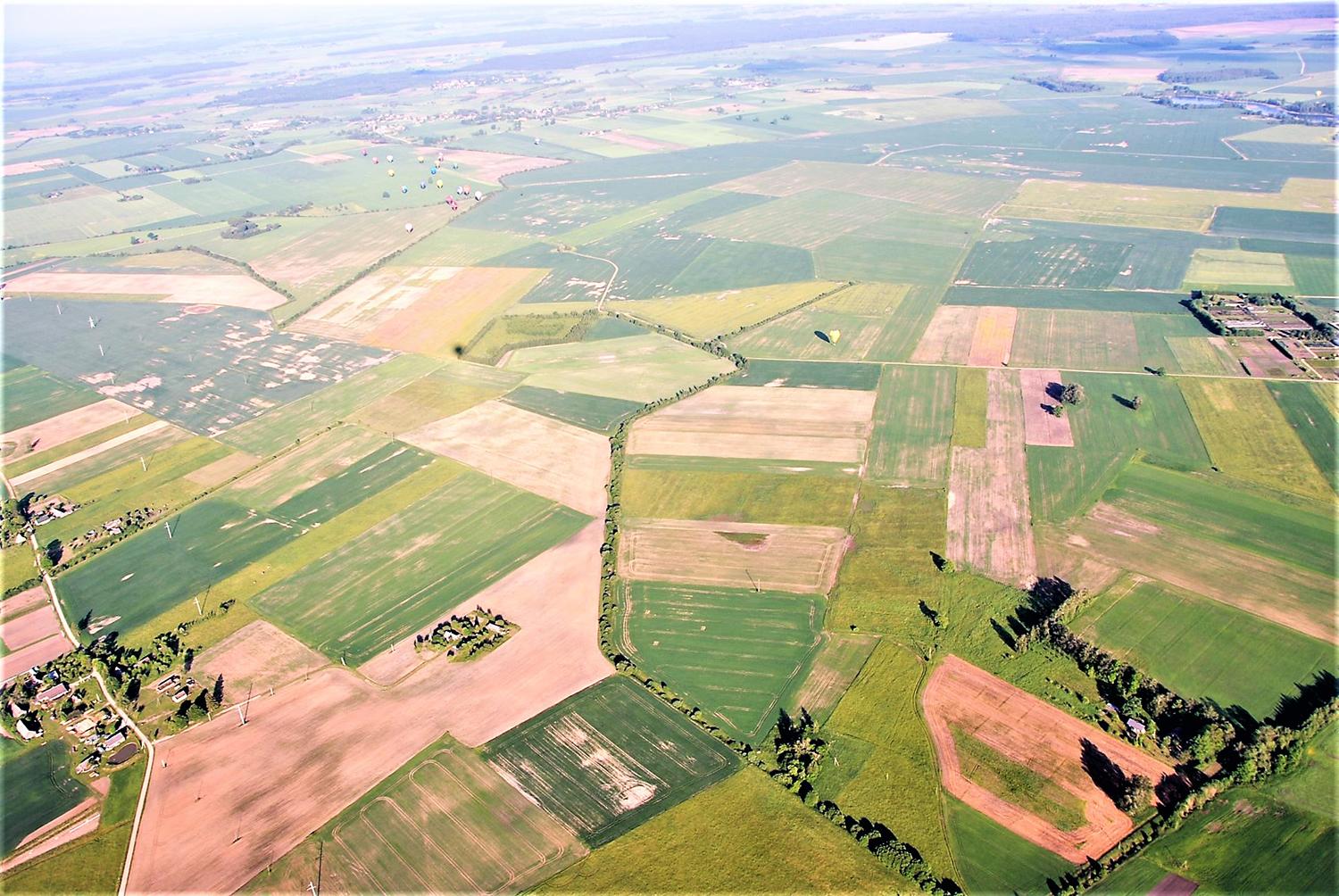 Mokesčių nesumoka ir dėl užmaršumo