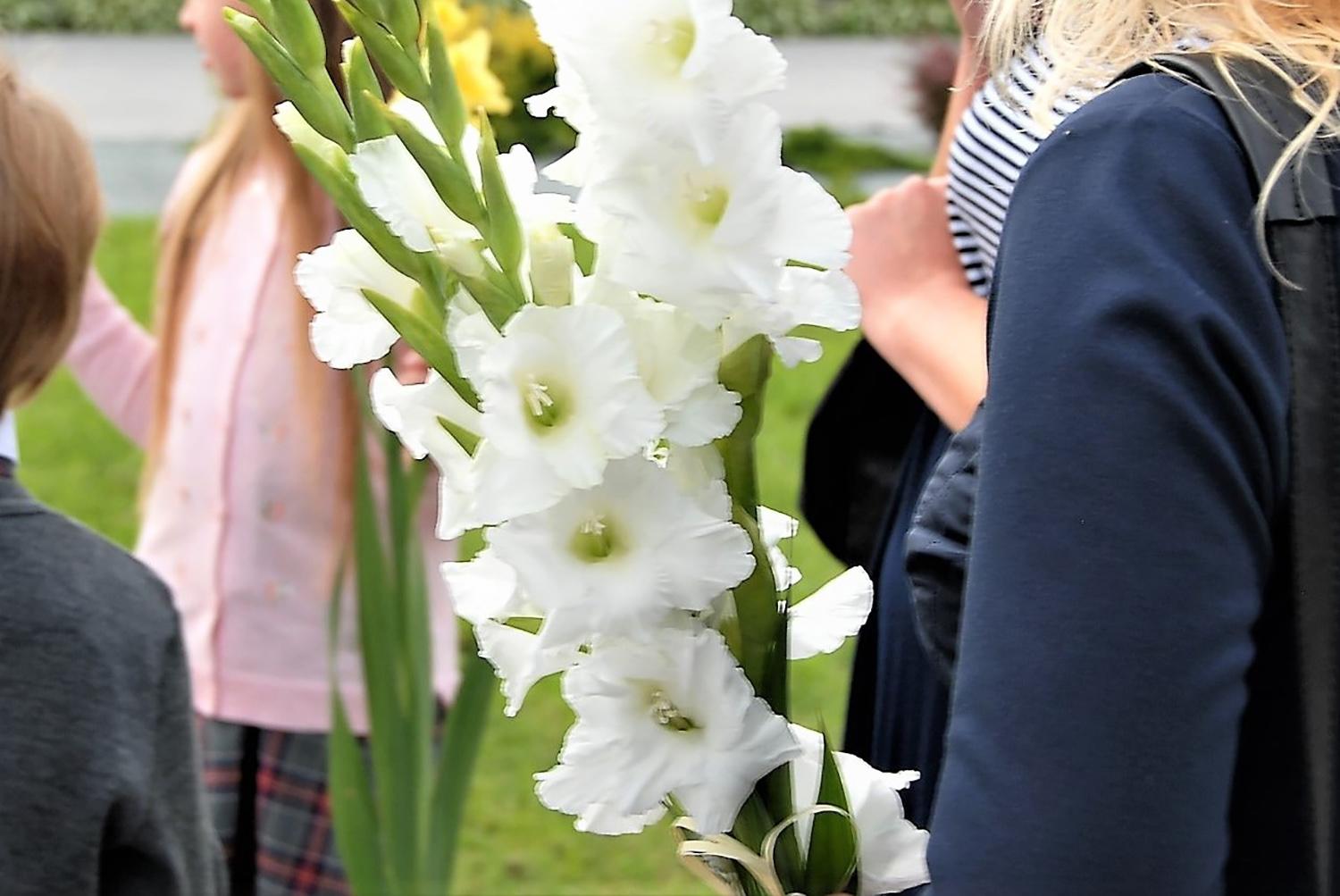 Mokyklų ateitį dėlios darbo grupė / Mokinių mokyklose mažėja... Gedimino Nemunaičio nuotr.