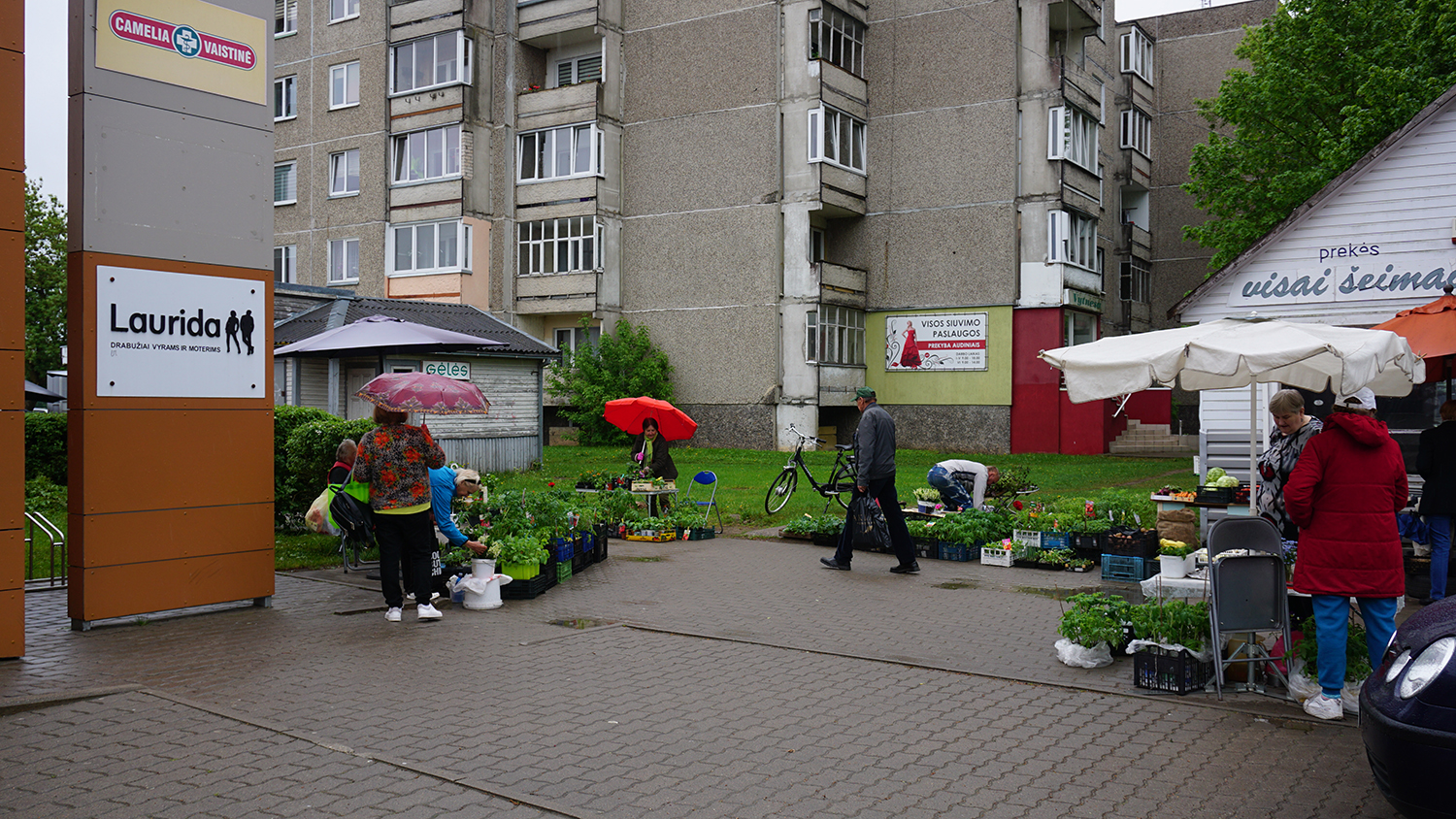 kad naujame paviljone nėra nei suolų