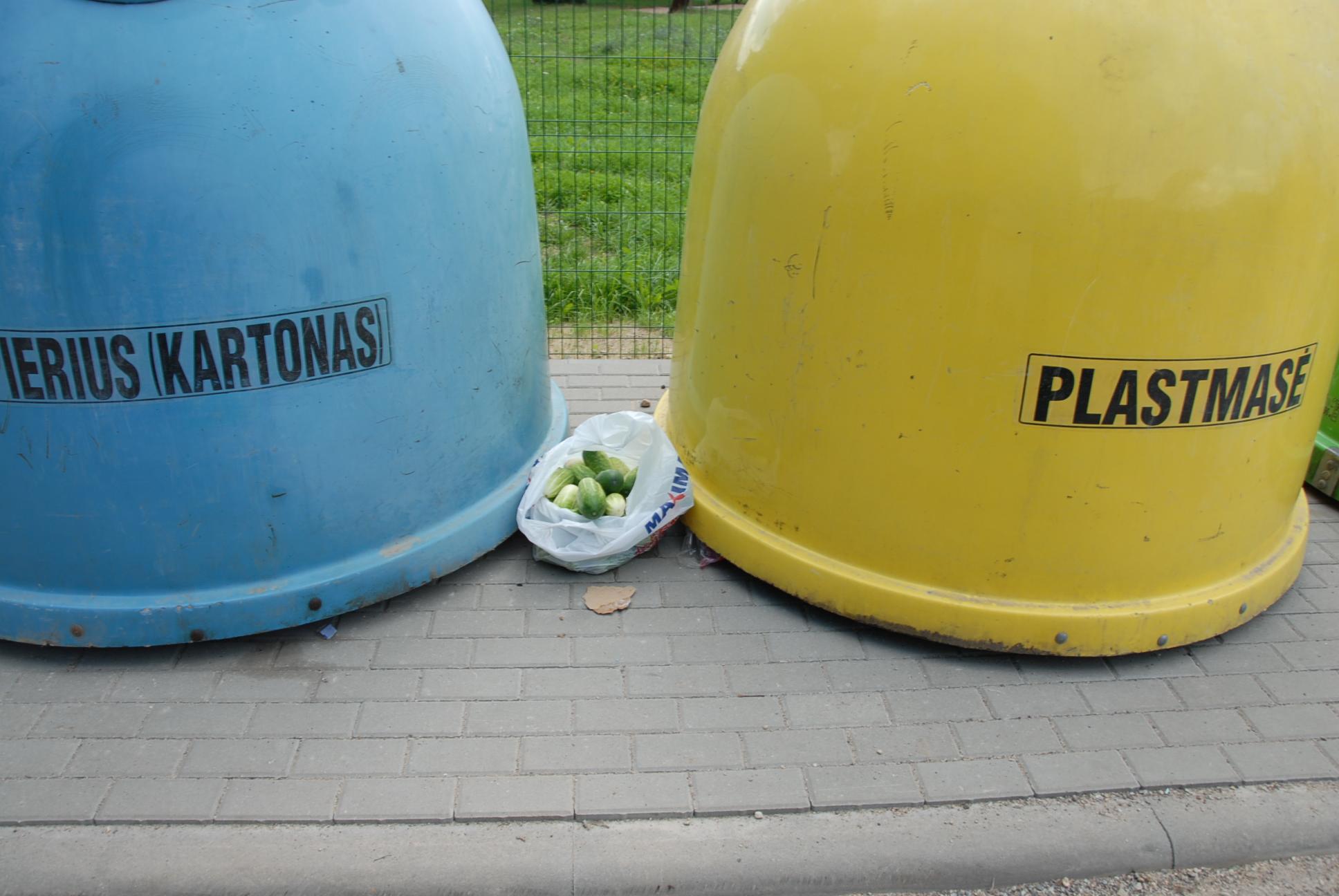 Neaiškumams aiškintis – daugybė darbo grupių /