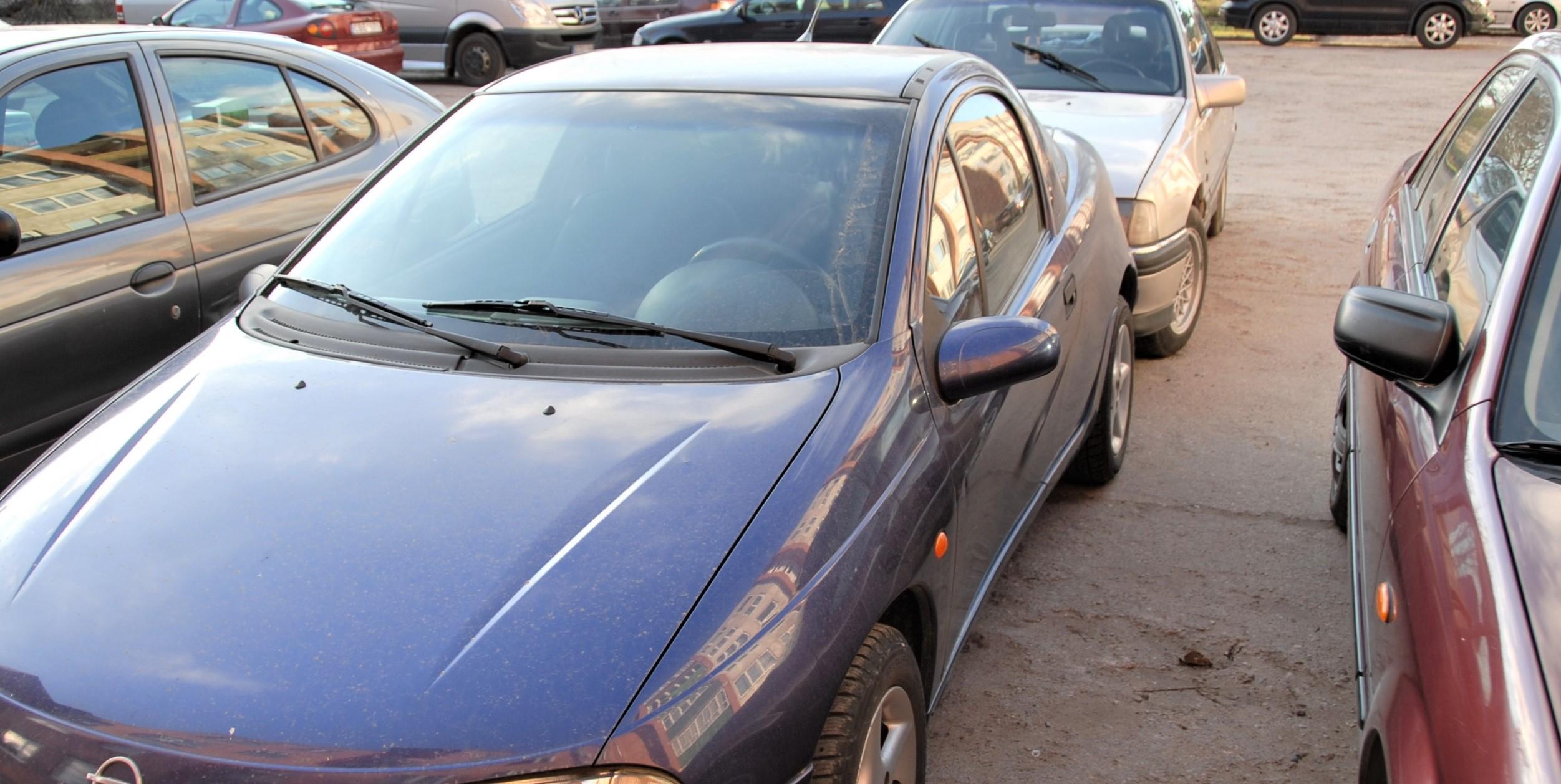 Nepasidalija vietos aikštelėje /