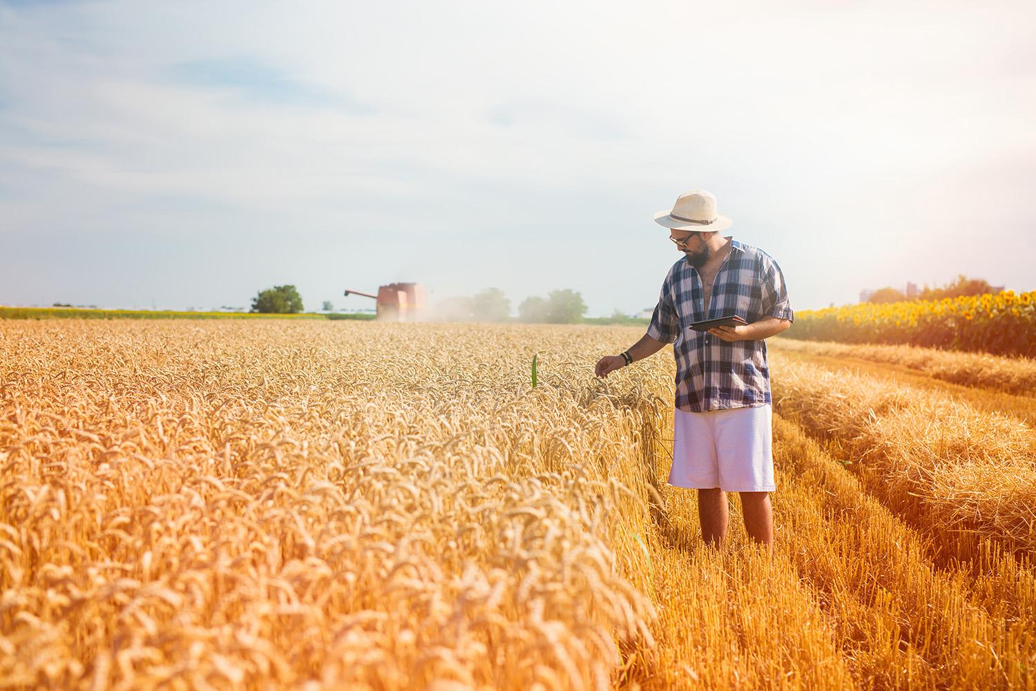 NMA bendradarbiavimas – sklandus paramos administravimas / Nuotrauka iš shutterstock.com