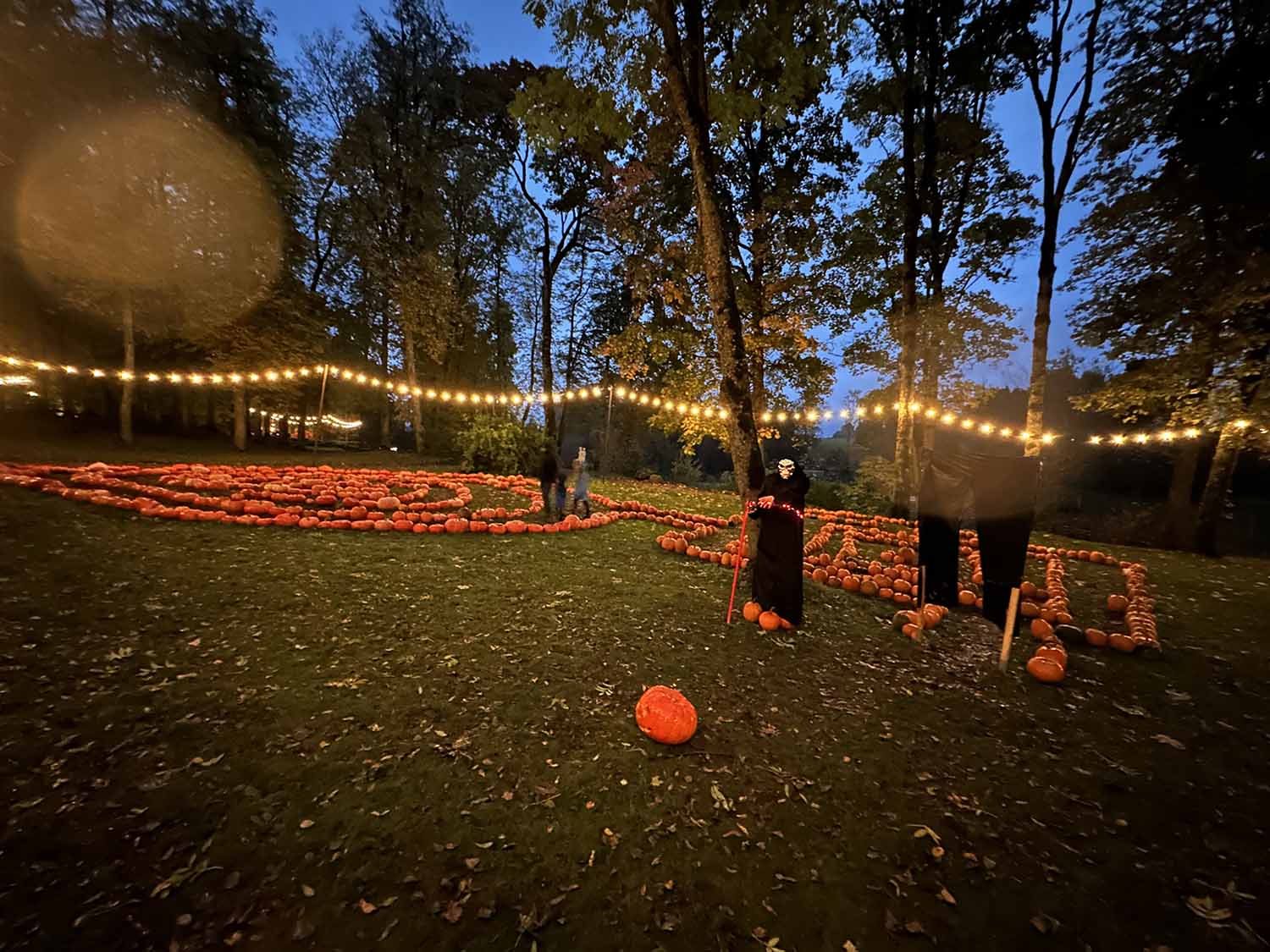 teko laukti eilėse / Taujėnų dvare įsikūrė Helovyno parkas.