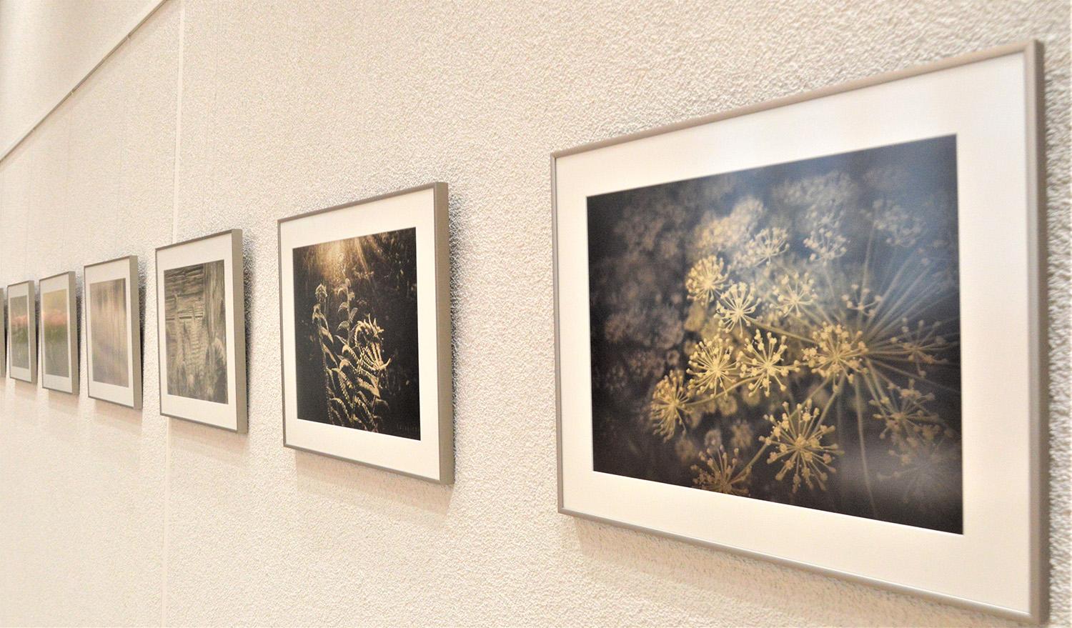 Nuotraukose – floros šypsena / Paroda „Flora šypsosi lėtai“.