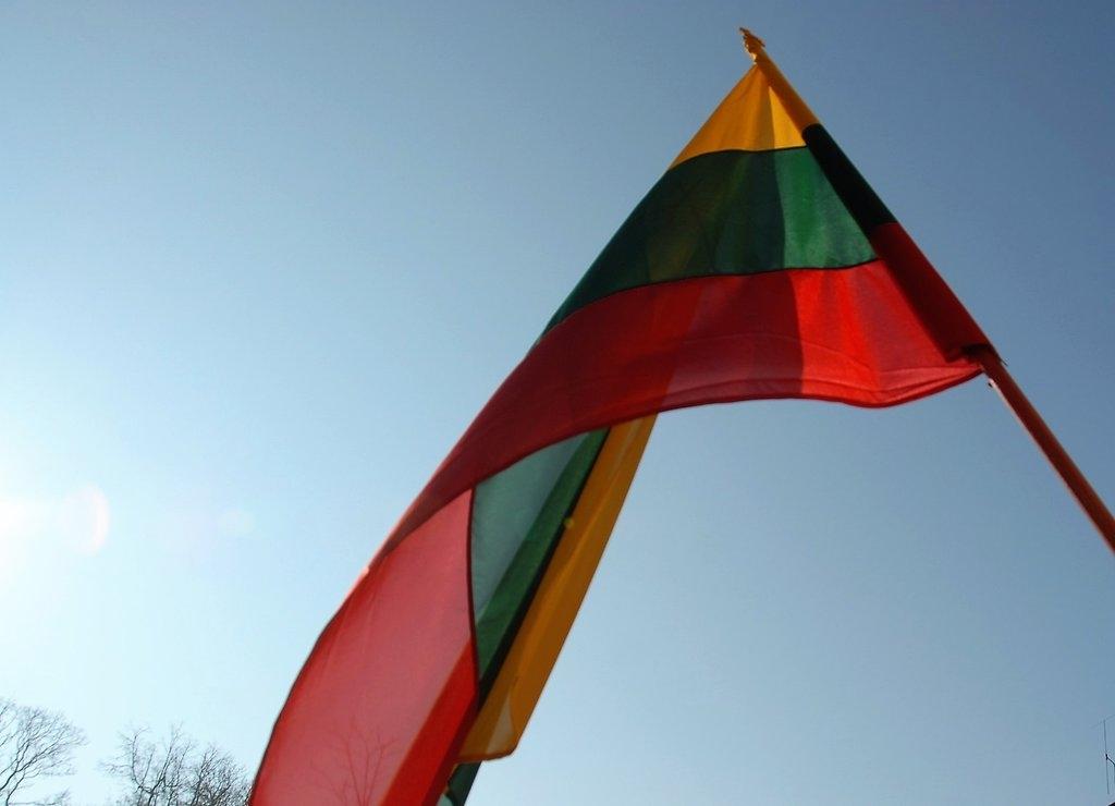 Nuplėšė valstybinę vėliavą /