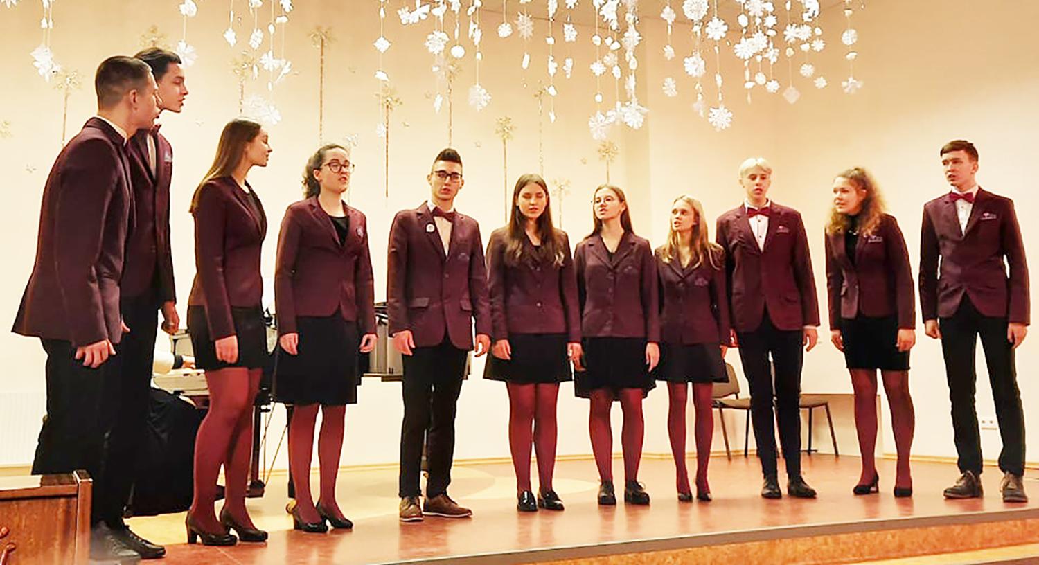 Paaiškėjo „Dainų dainelės“ rajoninio etapo nugalėtojai / „Dainų dainelės“ rajoninio etapo dalyviai.