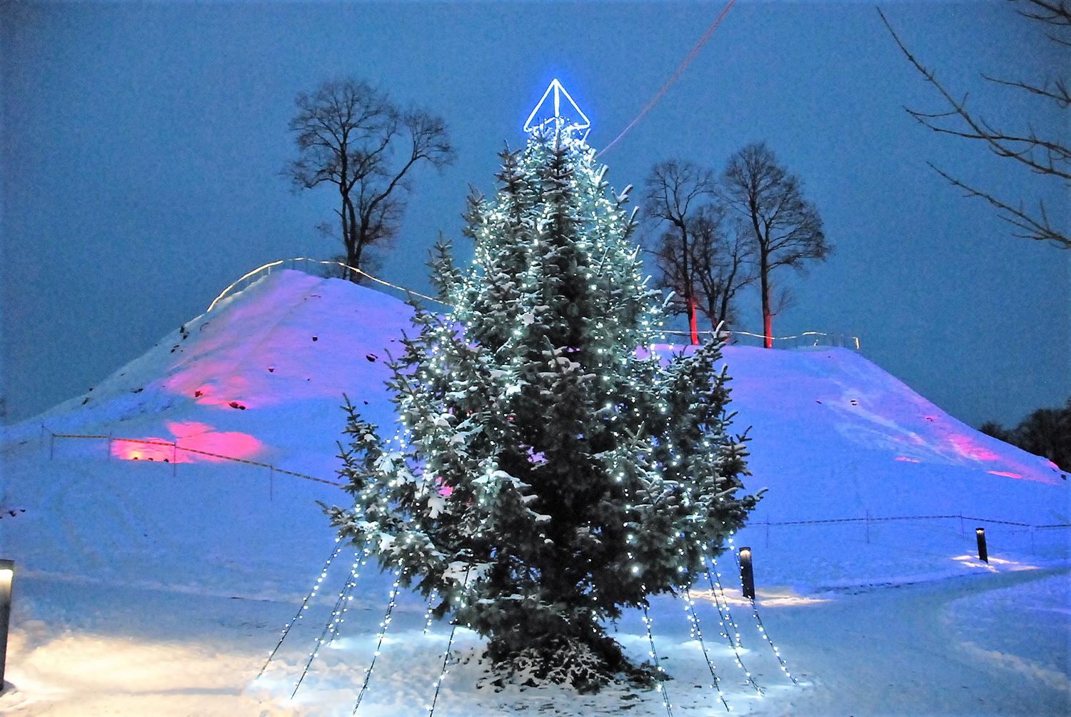 Padėkota kalėdinės šventės mieste kūrėjams / Gedimino Nemunaičio nuotr.