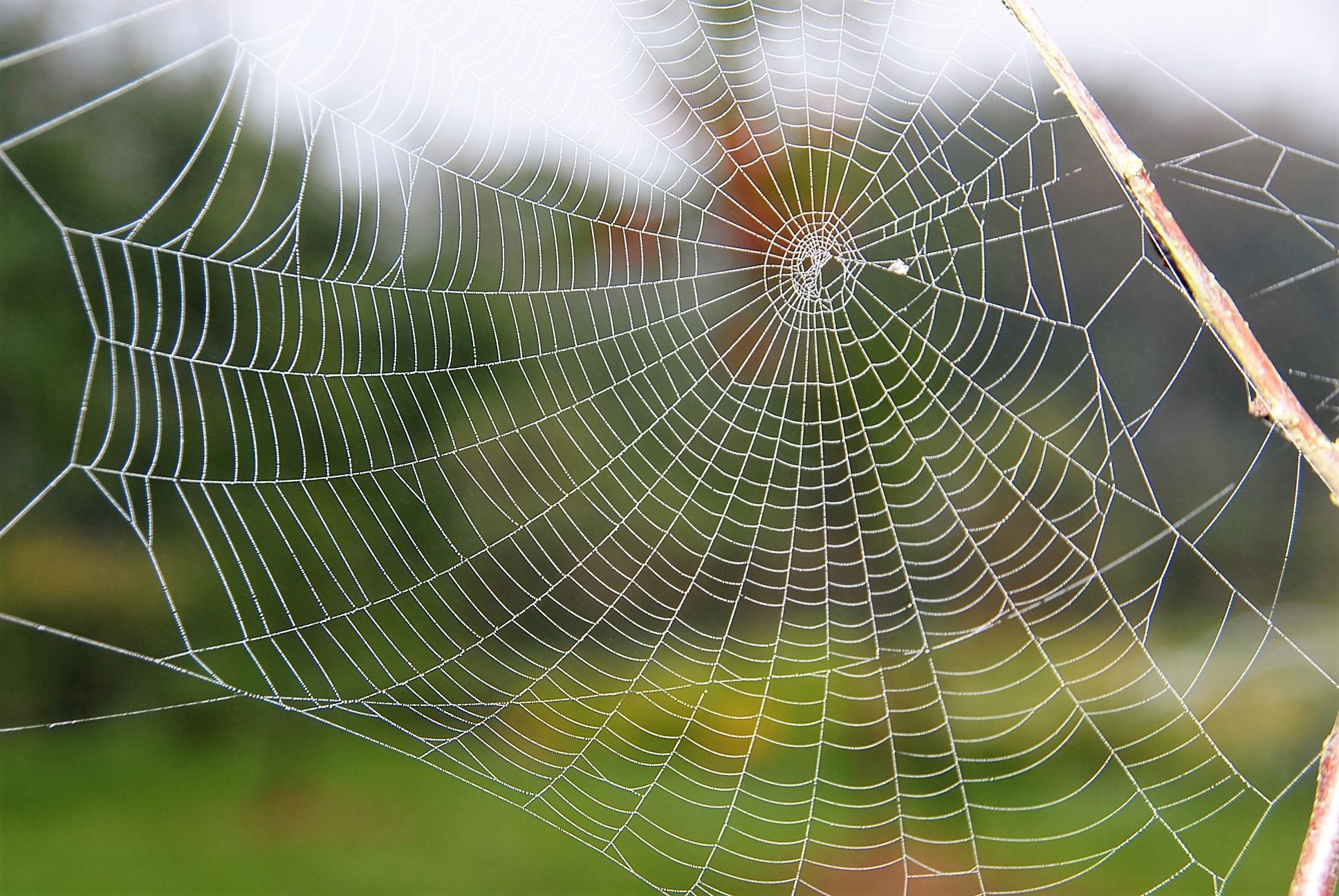 Painiava – dėl brandos egzaminų /