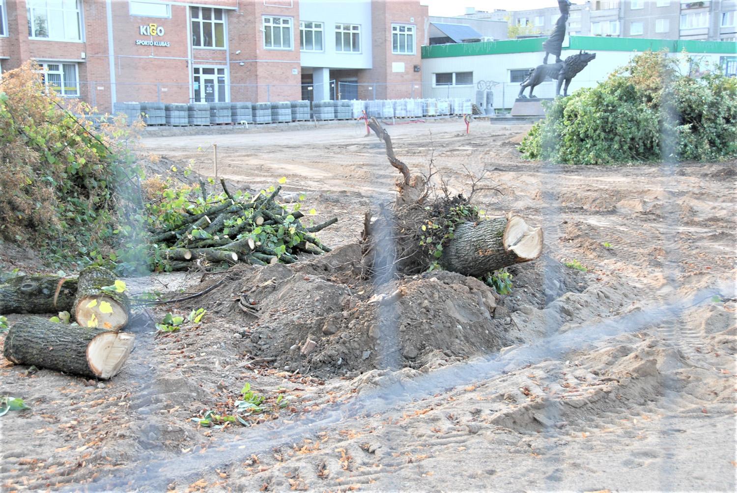 Papiktino nupjautos liepos / Gedimino Nemunaičio nuotr. Ukmergiškius piktina pjaunami medžiai.