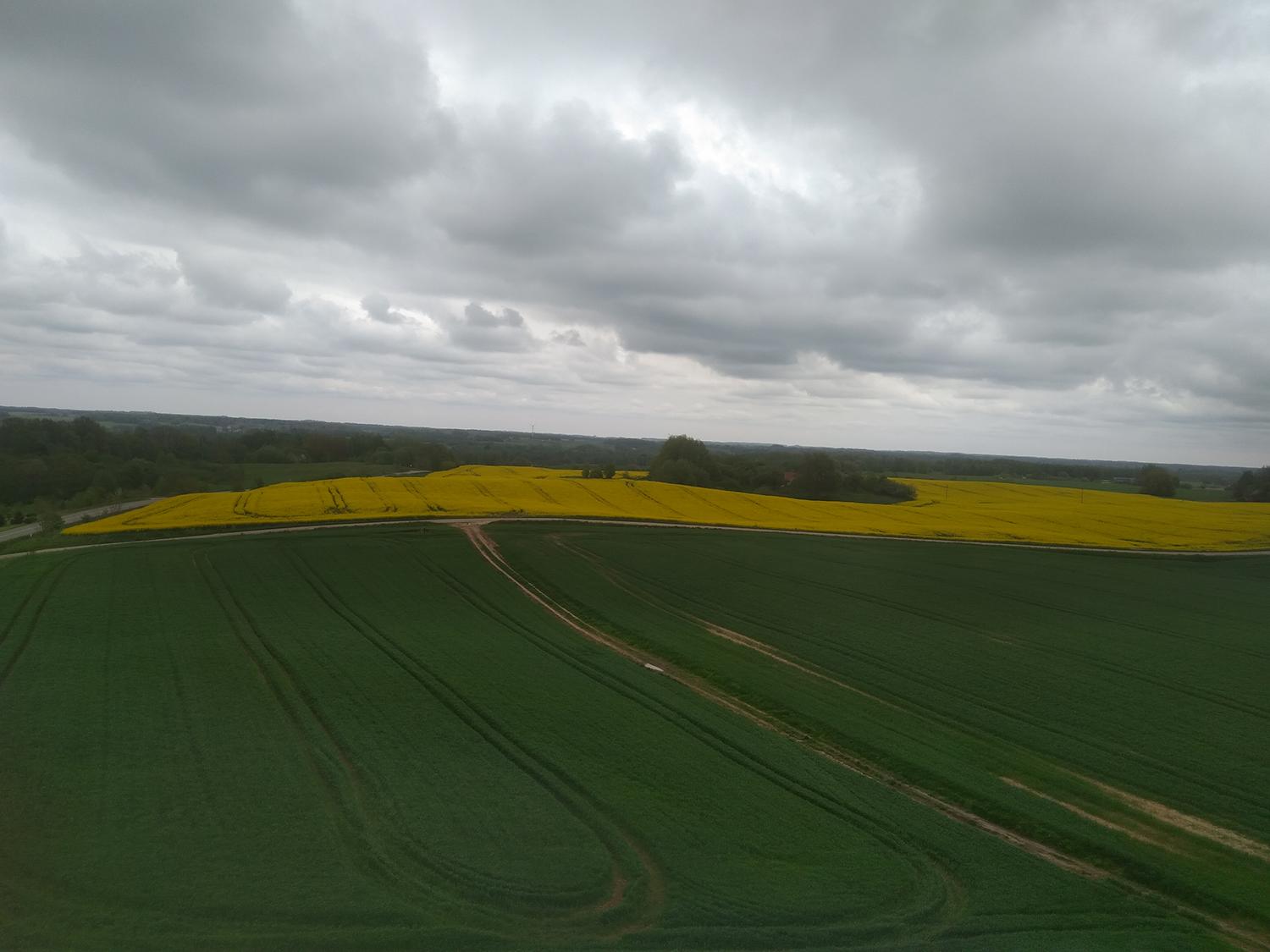 Parama investicijoms į žemės ūkio valdas – iki 600 tūkst. eurų / Jurgitos Ulkienės nuotr. Už paramos lėšas įsigijęs naują techniką