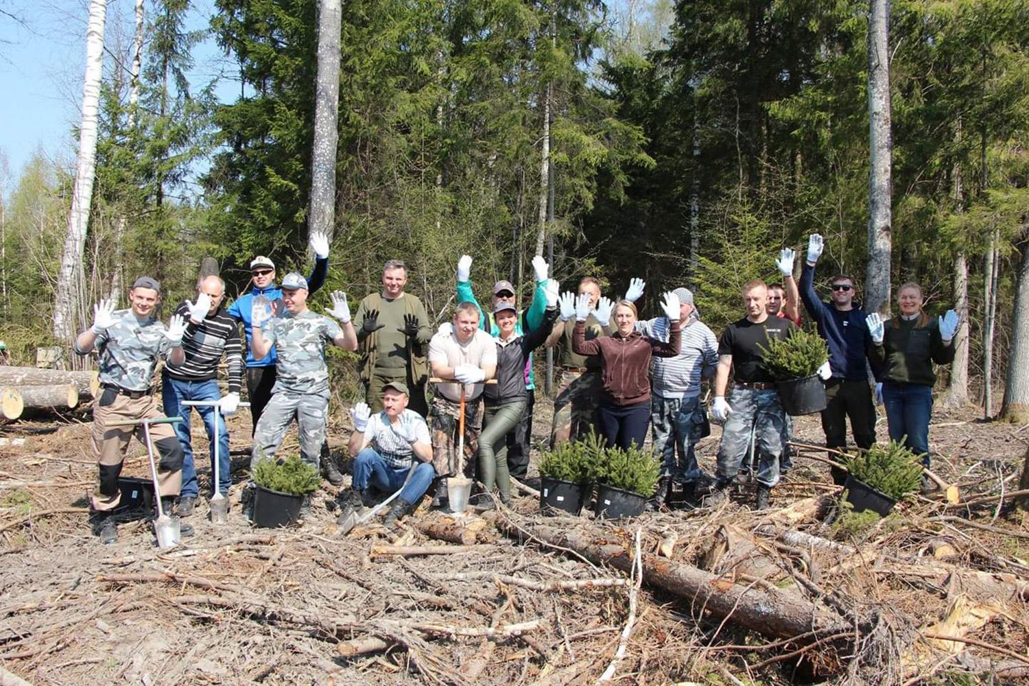 Pareigūnai mišką ir sodino