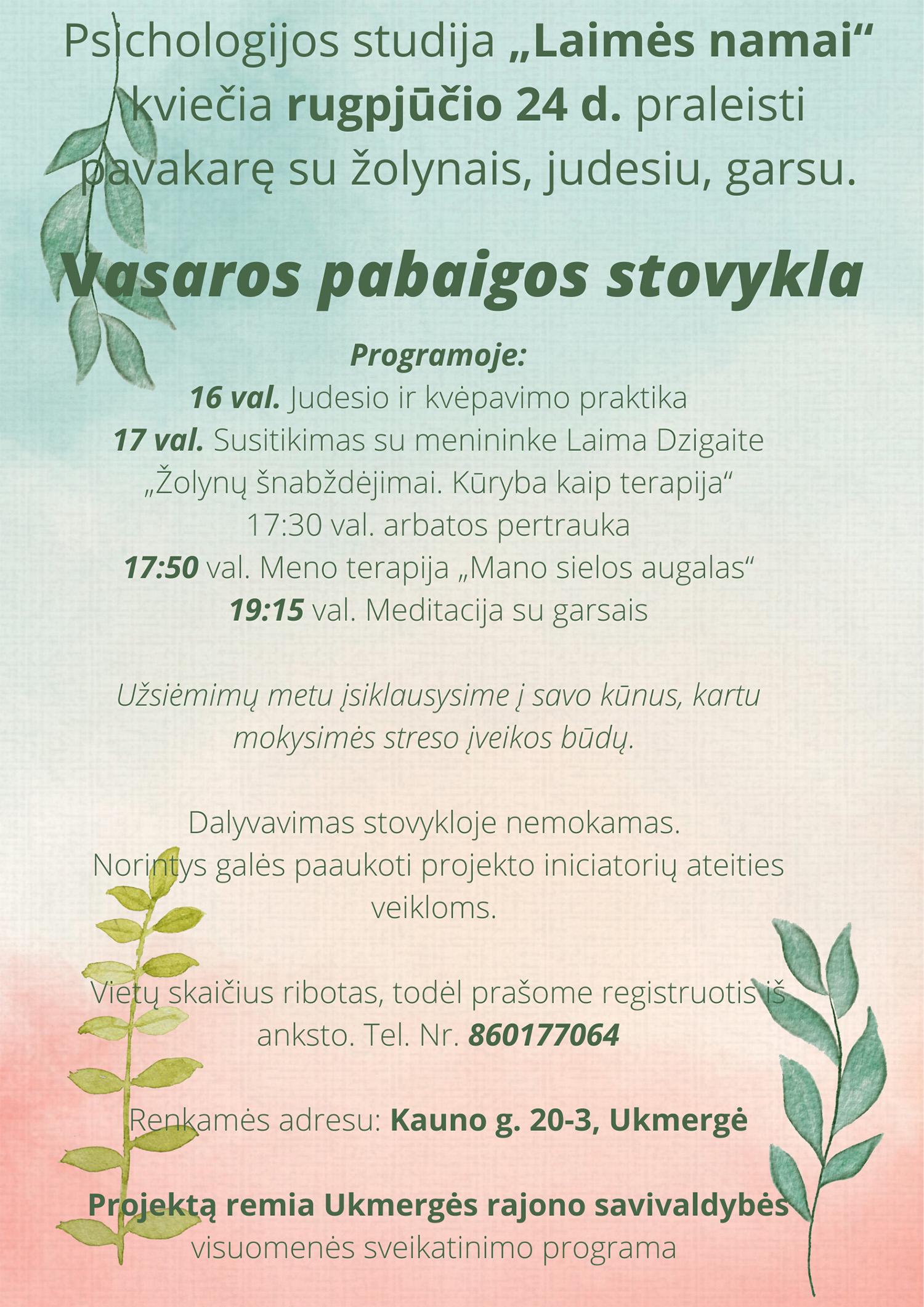 Pasisemti energijos kviečia stovykloje /