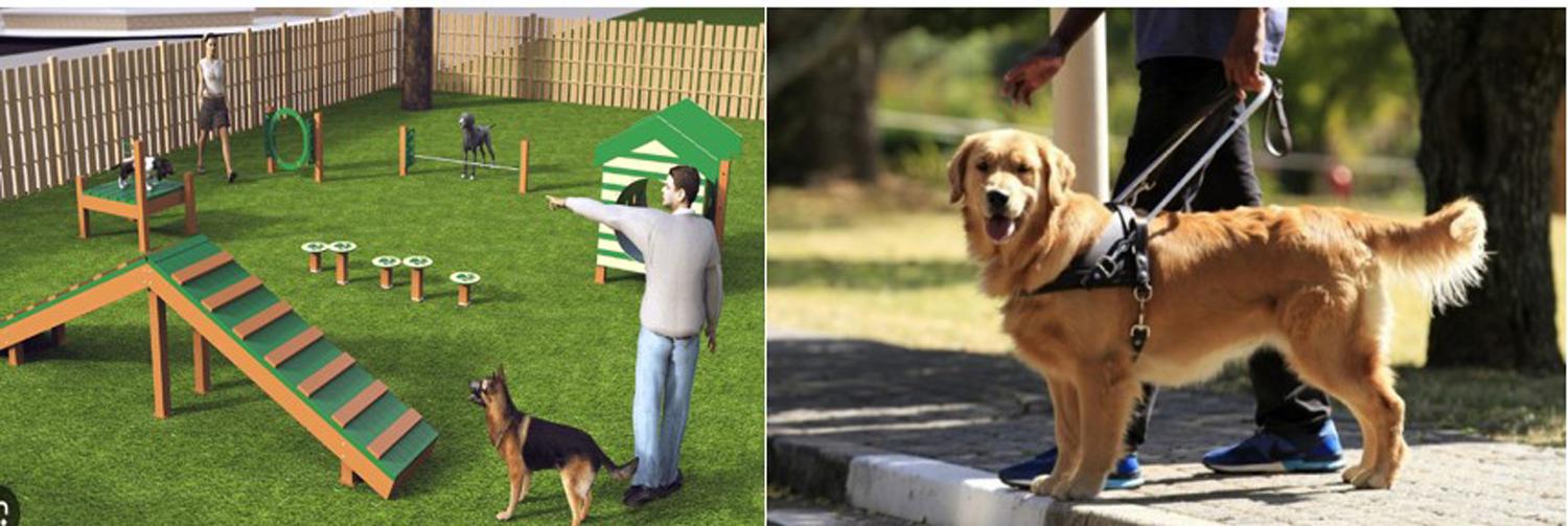 Patikusias bendruomenės idėjas išsirinksime balsuodami / Viena iš siūlomų idėjų – šunų vedžiojimo aikštelė.