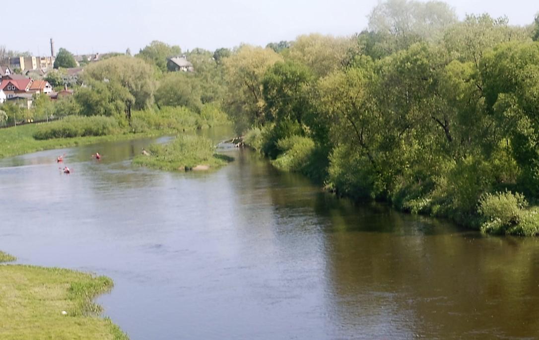 Paupyje – bandymas apiplėšti /