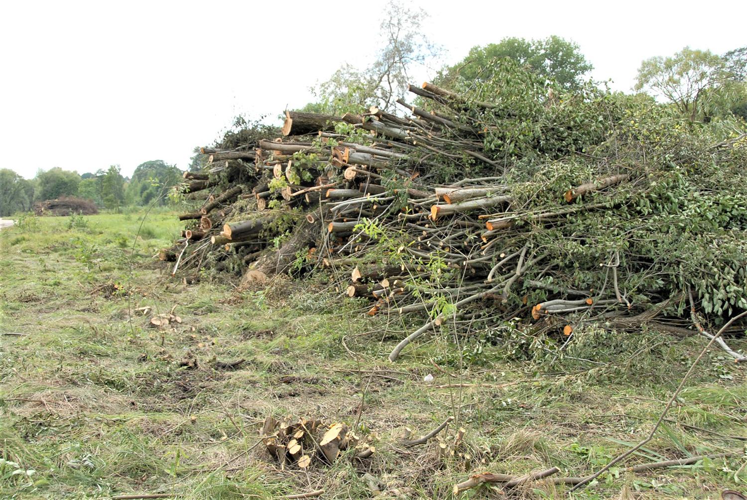 Paupyje – savavališki kirtimai / Gedimino Nemunaičio nuotr. Bus tiriama