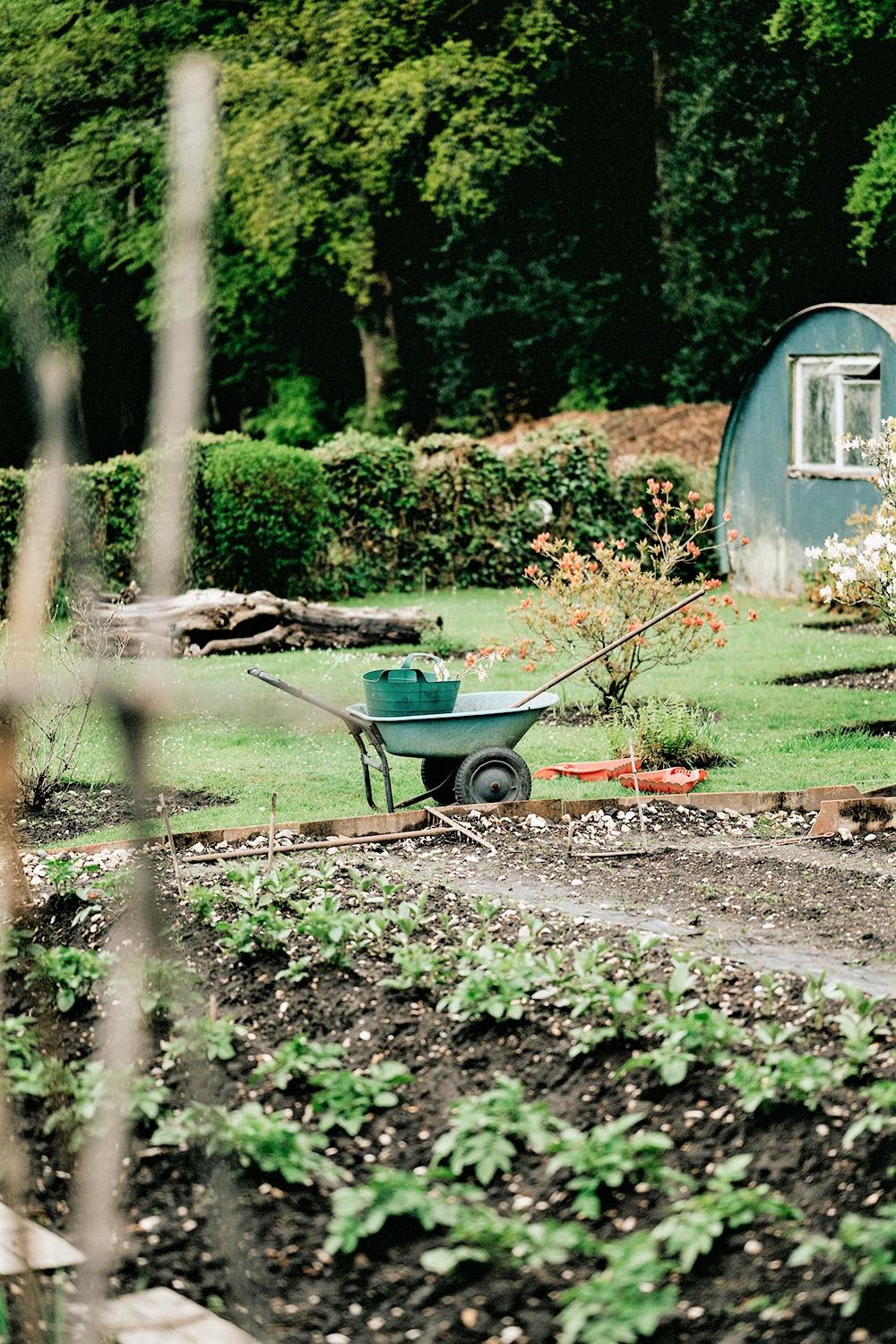 Pavasario darbai sode ir aplink: kada svarstyti apie paskolą aplinkai gražinti? /