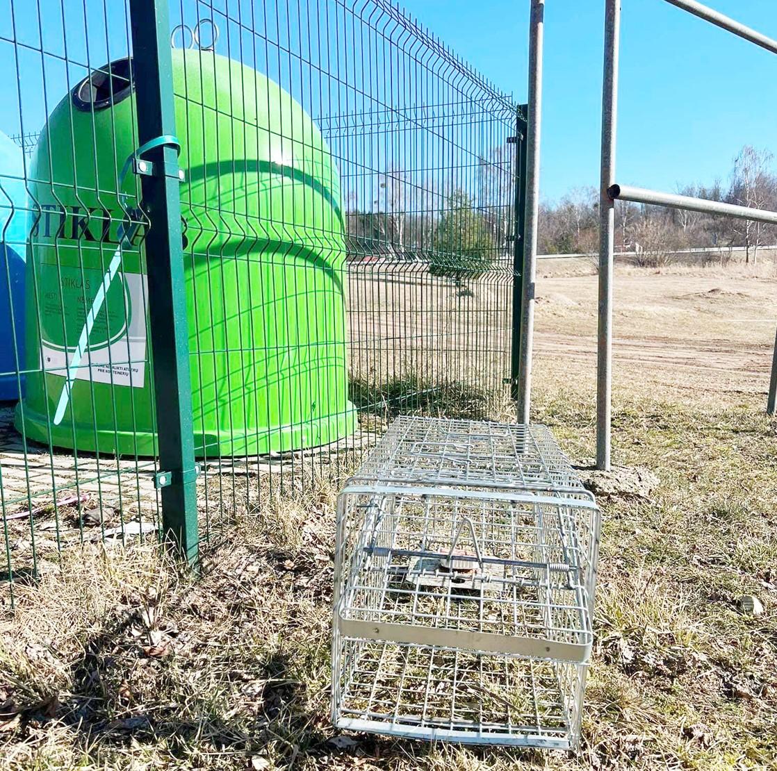 Pavogta jau antra gyvūnų gaudyklė / Dingo Pašilėje stovėjusi gaudyklė.