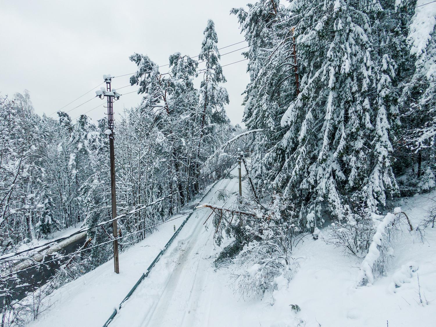 Po stichinio snygio – kritikos strėlės elektros tiekėjams / Nutrūkus aukštos įtampos laidams
