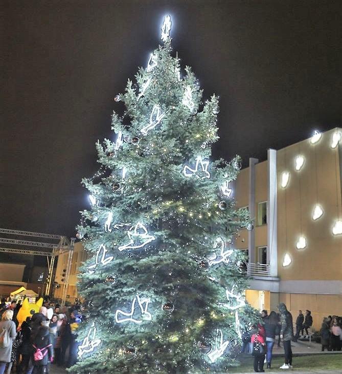 Pradeda ruoštis šv. Kalėdoms / D. Vyto nuotr.