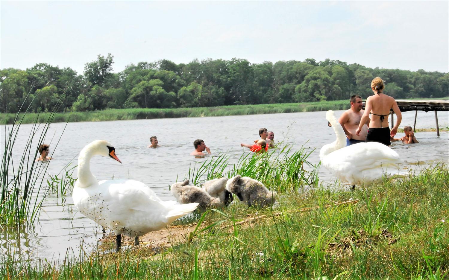 Prie vandens telkinių ragina elgtis atsakingai / Gedimino Nemunaičio nuotr.