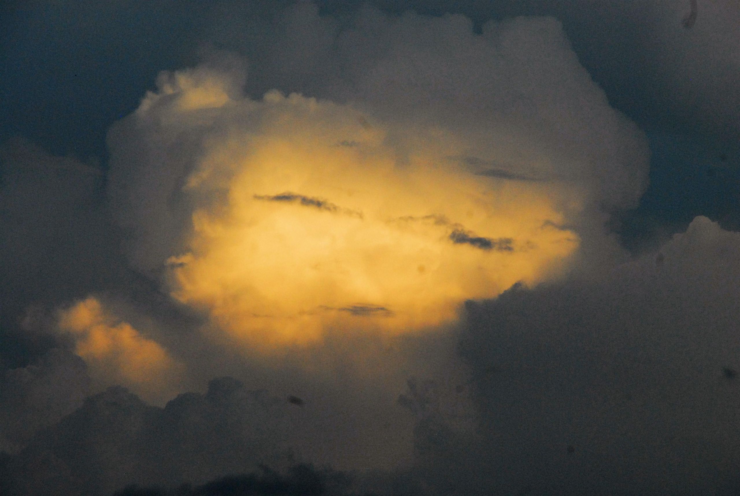 Programos siekis – išsaugoti gyvybes /