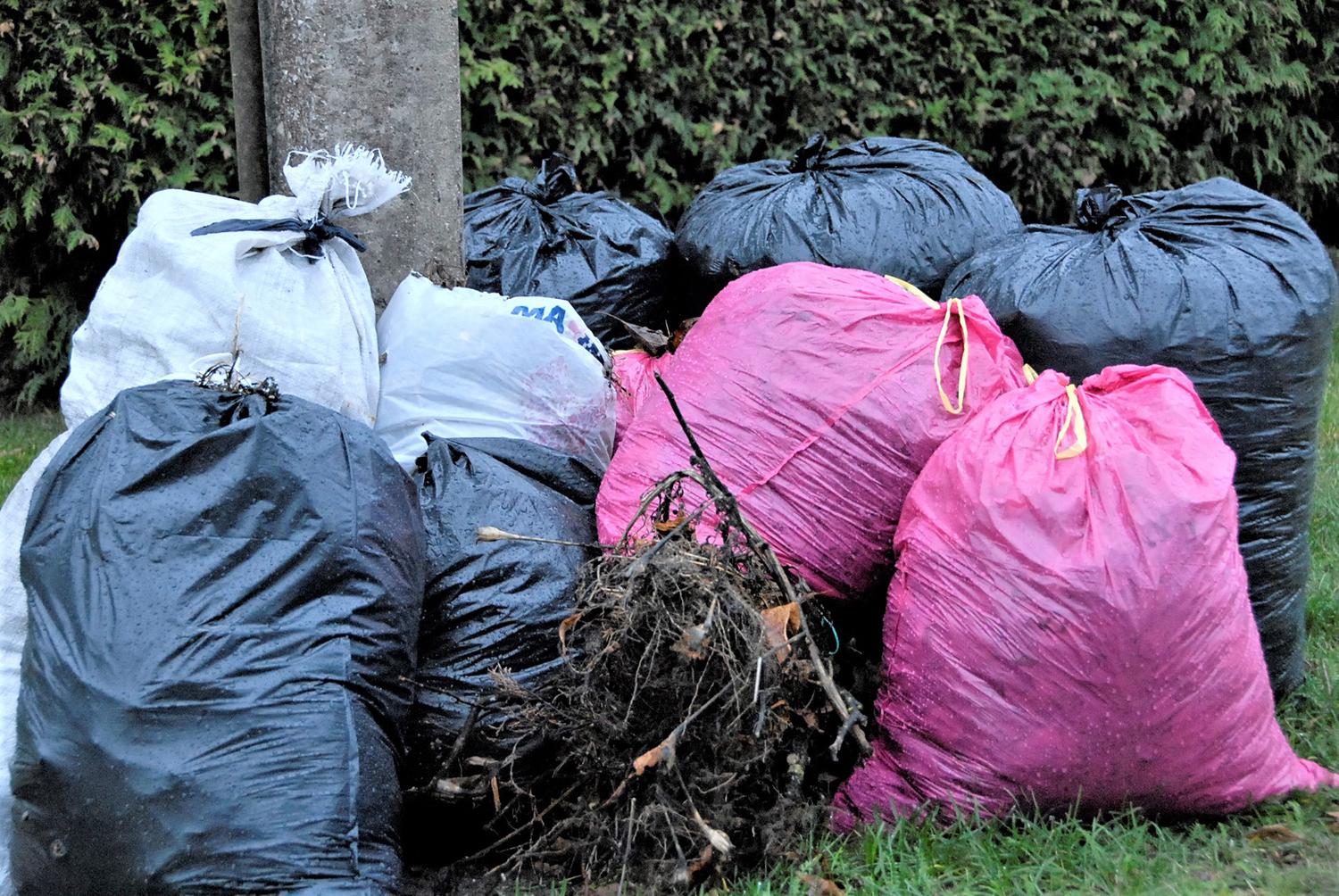 Pyksta dėl neišvežtų žalienų / Gedimino Nemunaičio nuotr. Žalienų išvežimu Ukmergėje rūpinasi miesto seniūnija.