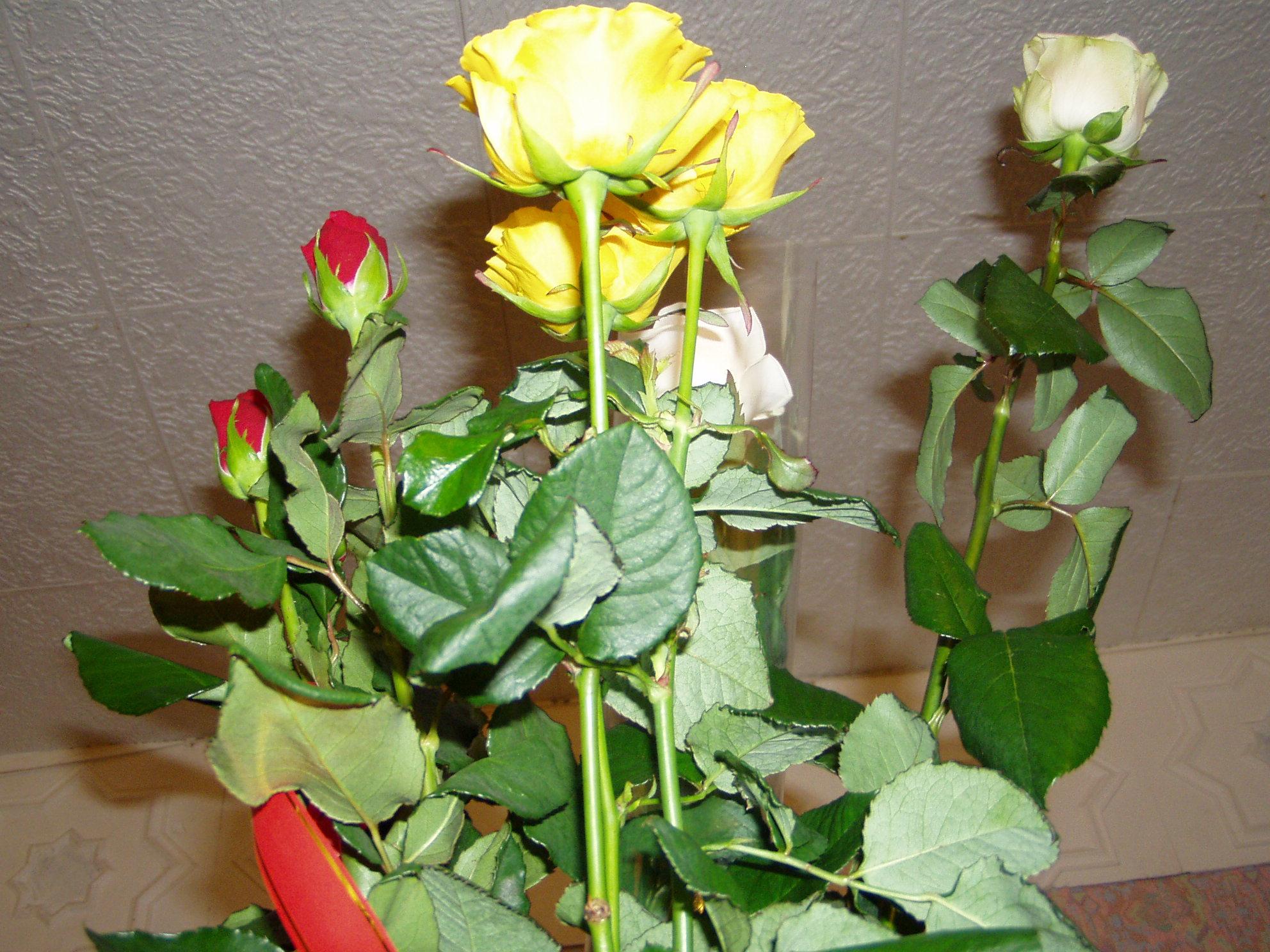 Rūmai apdovanojo geriausiuosius /