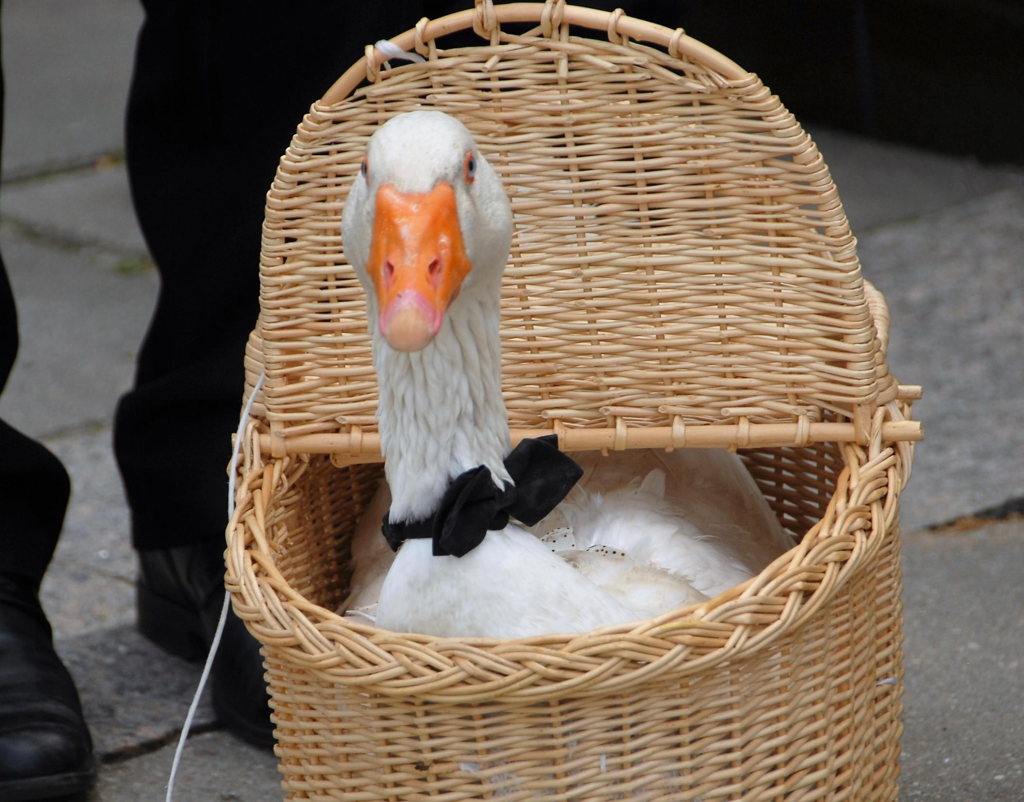 Santuokų pernai gerokai sumažėjo /