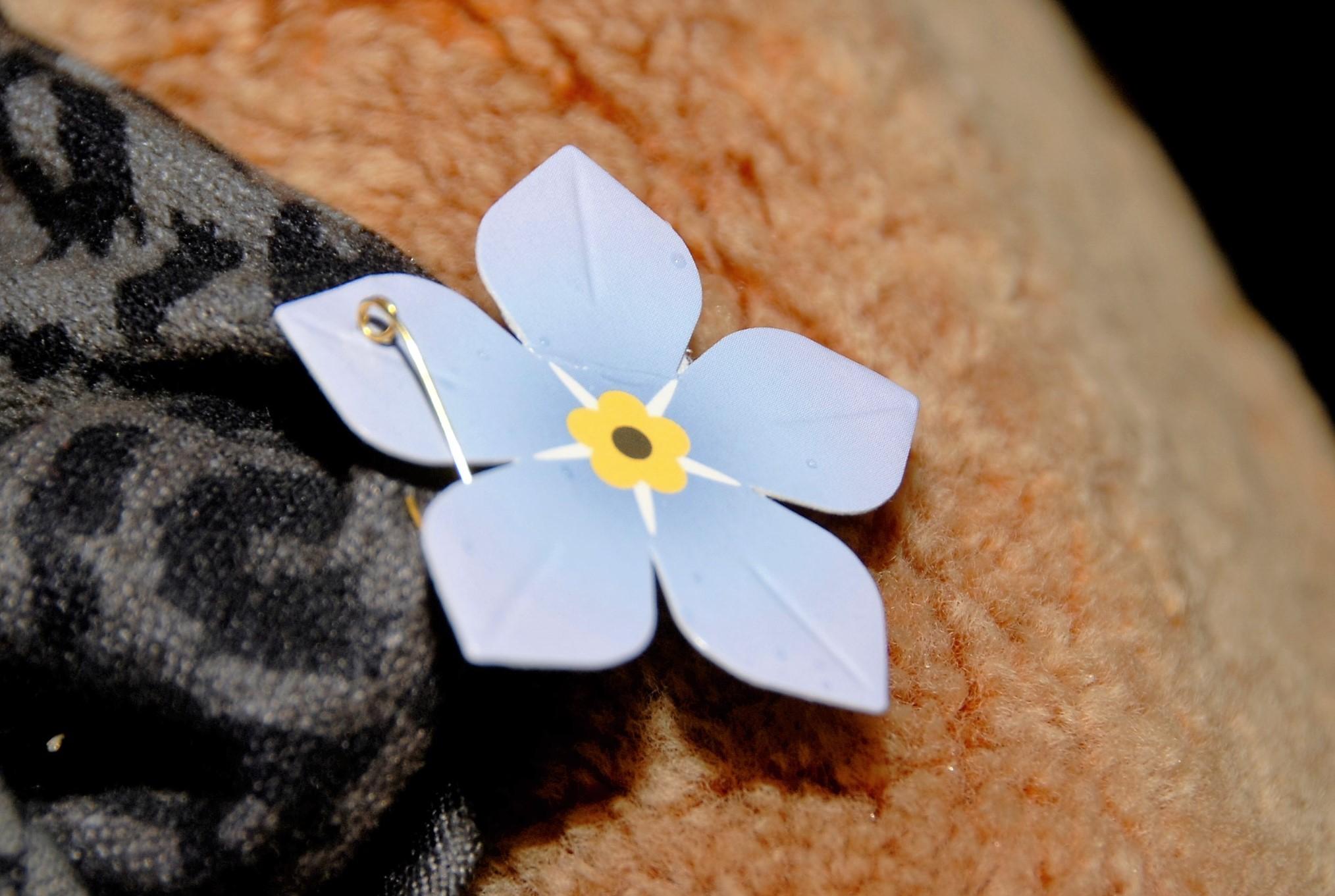 Savo trisdešimtmetį minėjo Sausio 13-ąją /